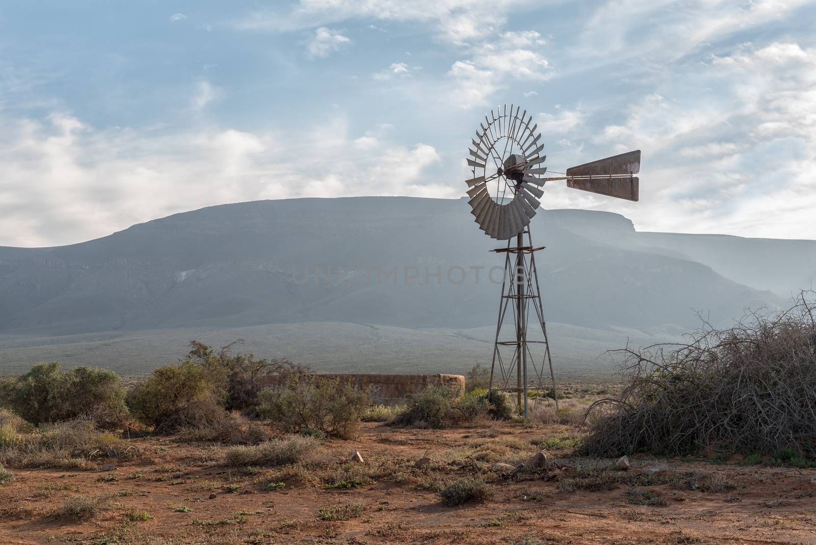 An early morning landscape, with a windmill and dam, in the Tankwa Karoo of South Africa