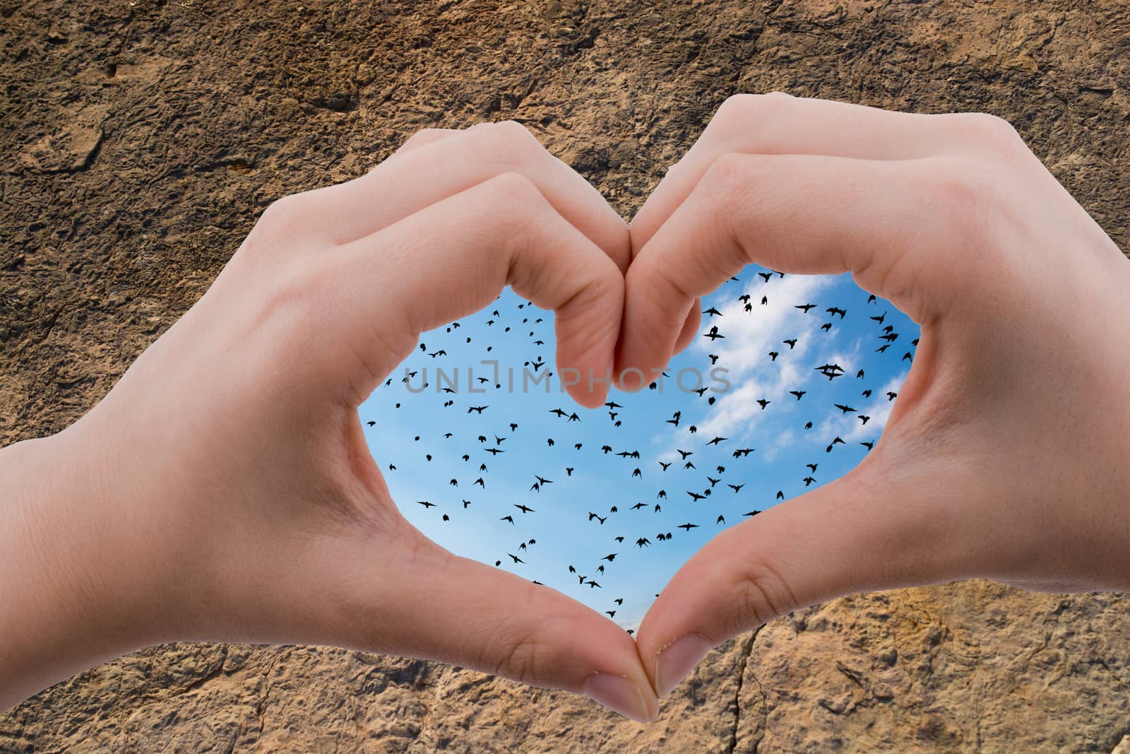 Flock of birds  seen behind a heart shaped hand by berkay