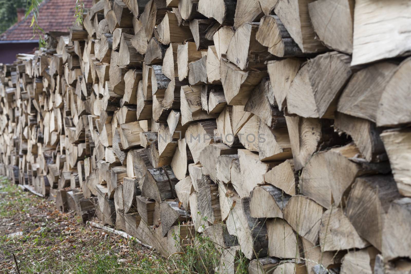 Pile of chopped fire wood in the forest ready for the winter