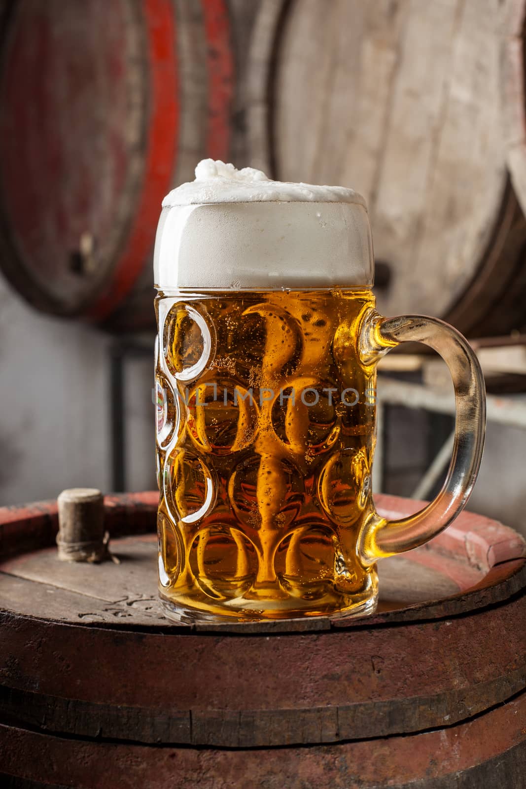 Large beer Glass by orcearo