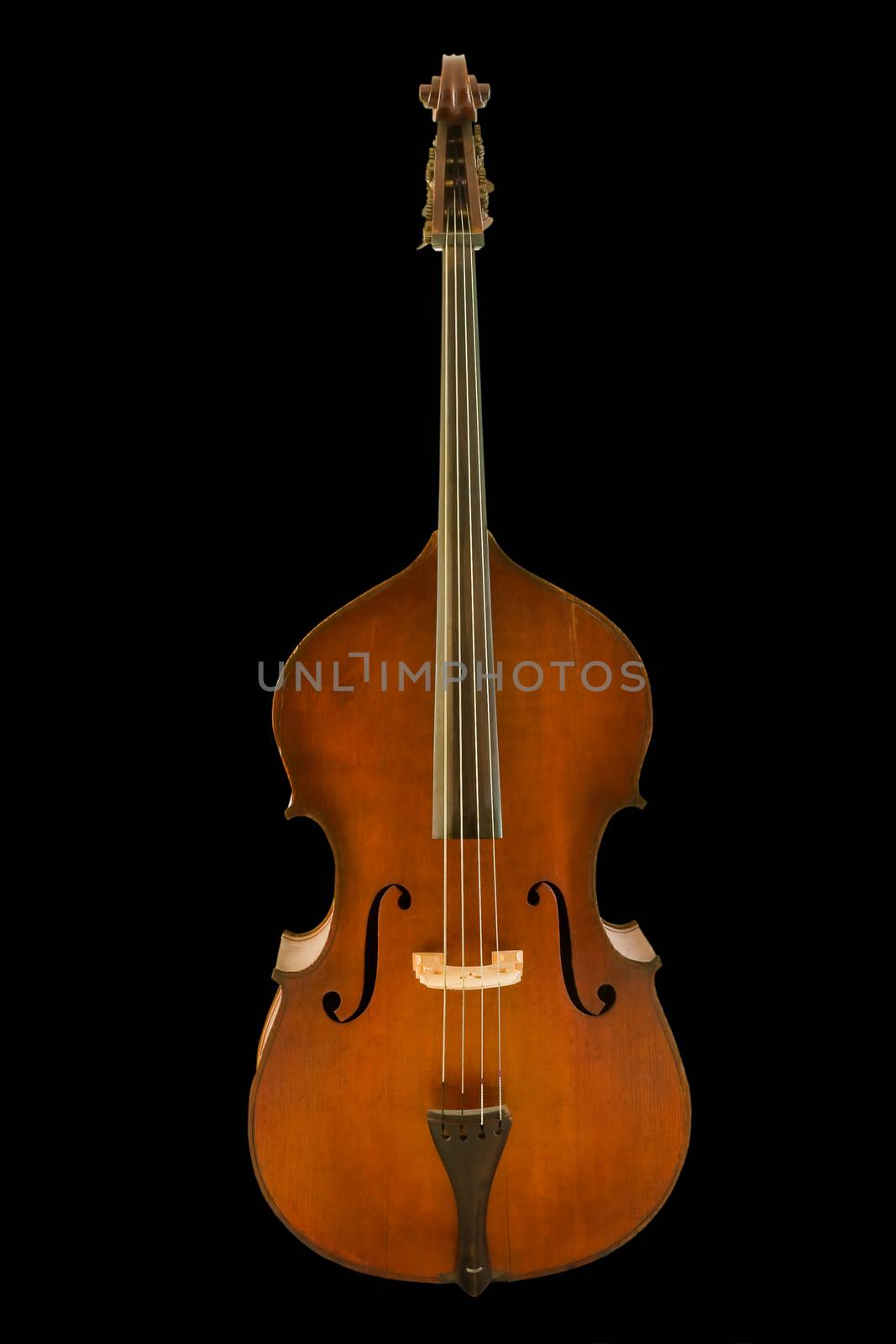 Front view of vintage viola isolated on black background, clipping path.