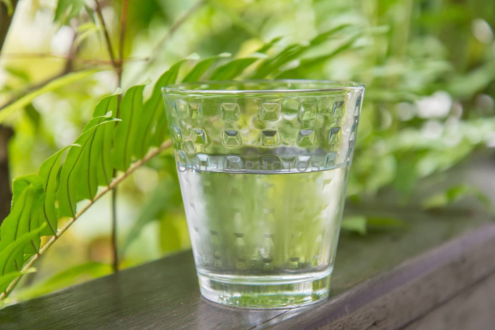 Glass of water, put on the balcony among the nature.