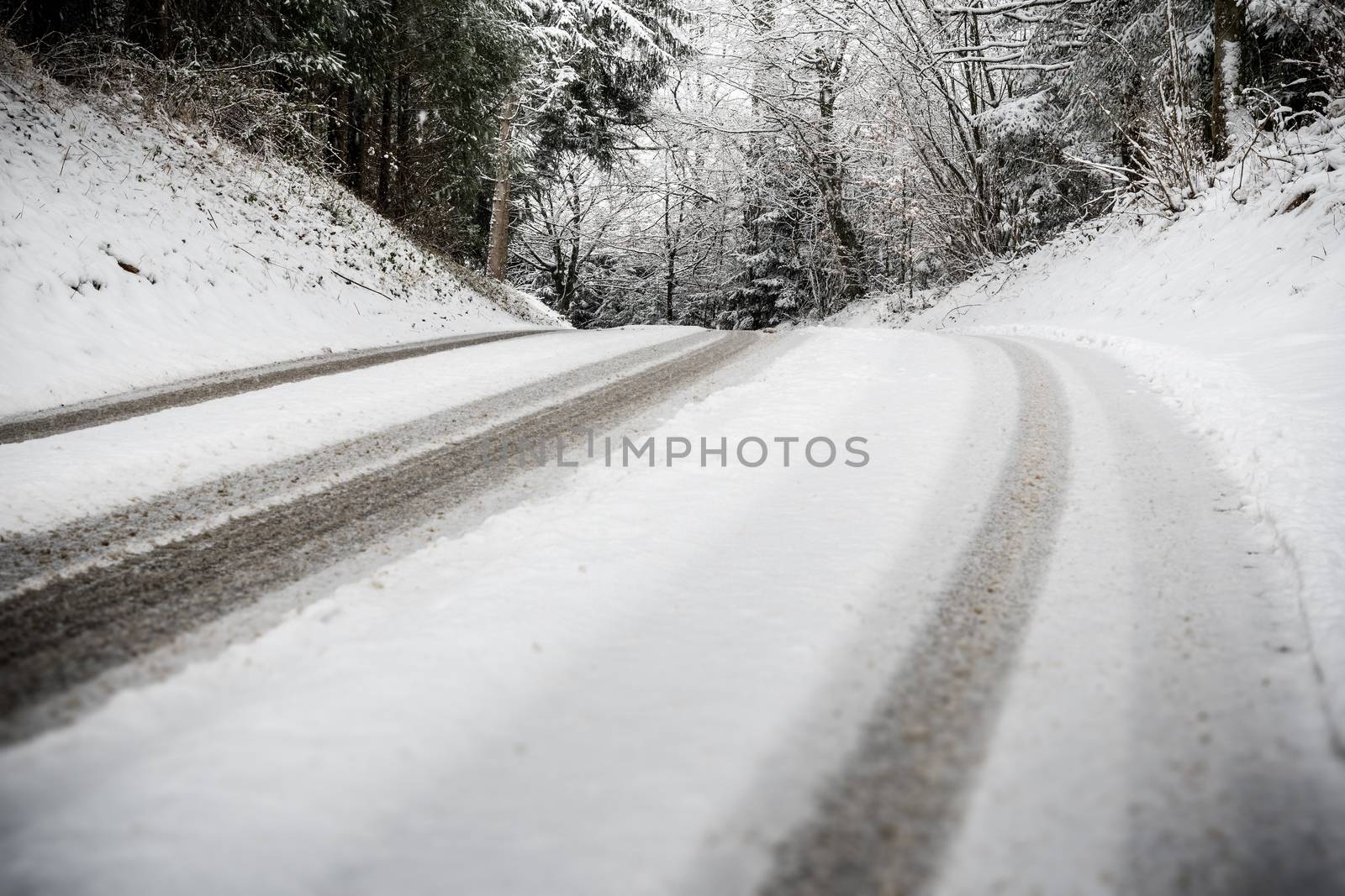 Road with trees and snow by w20er