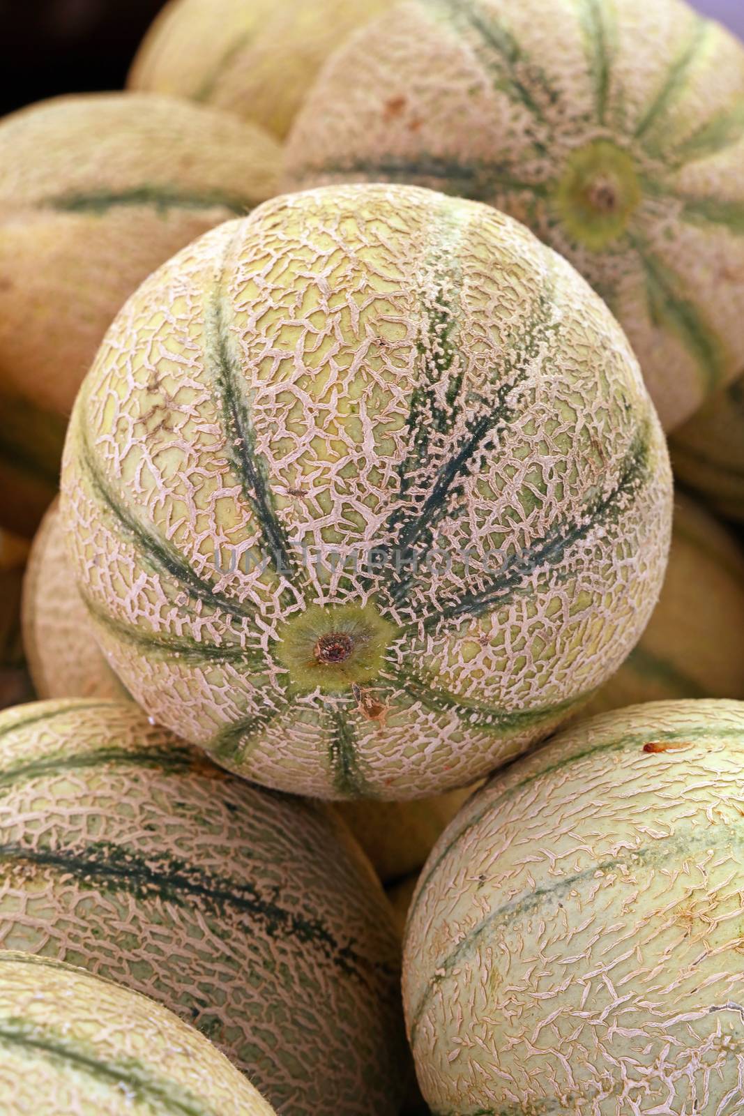 Close up fresh cantaloupe melons on retail display by BreakingTheWalls
