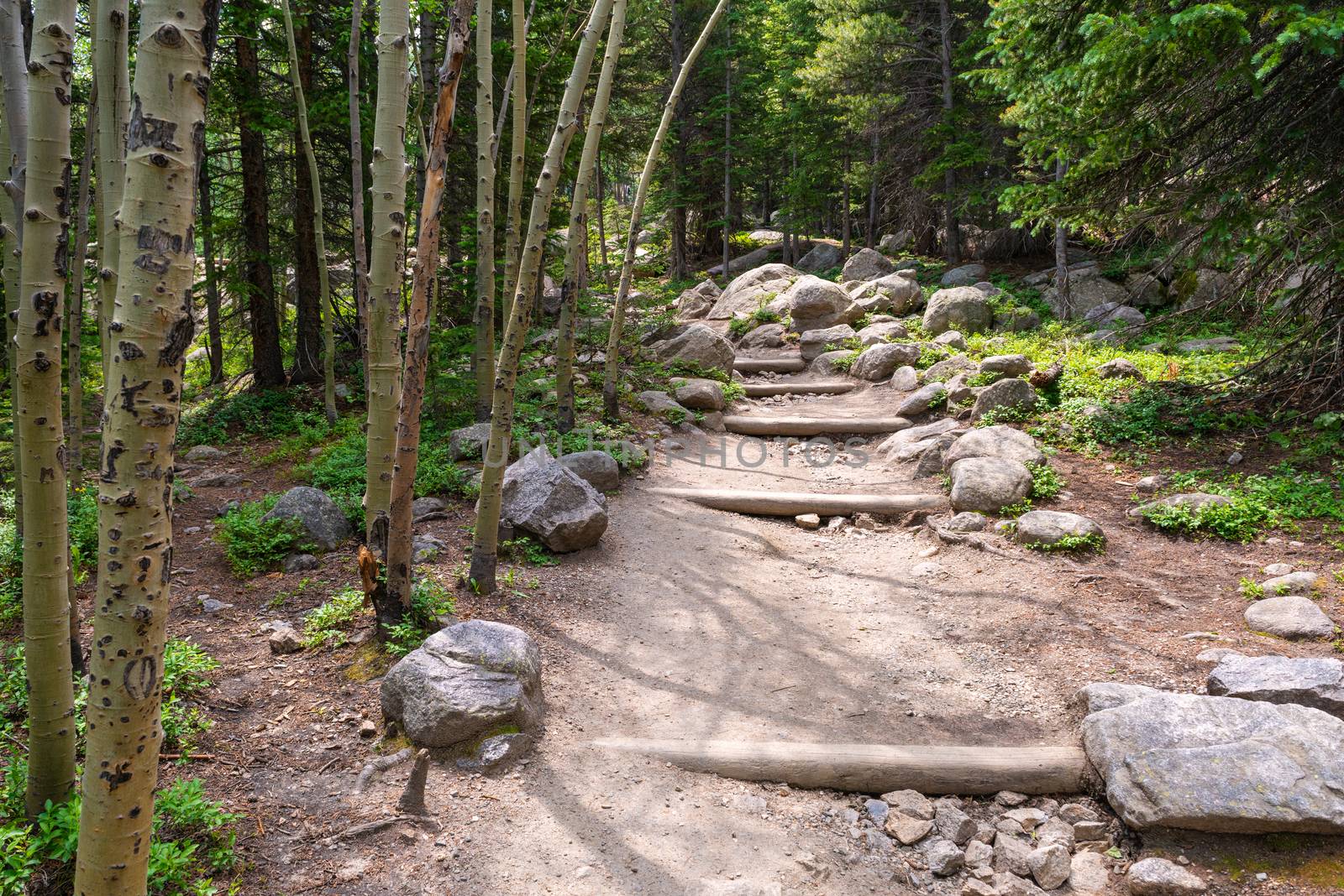 Glacier Creek Trail to Alberta Falls in Rocky Mountain National Park, Colorado