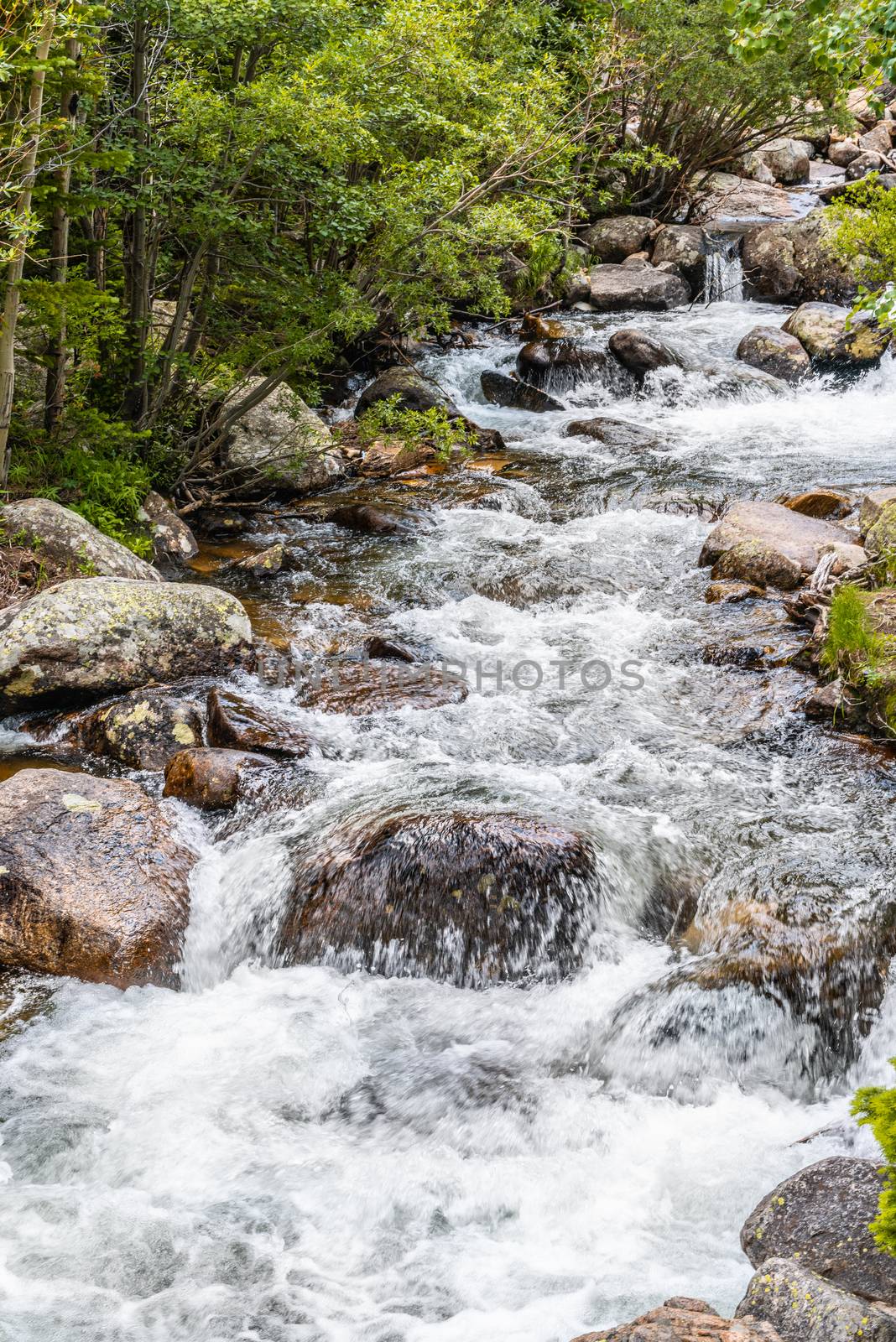 Glacier Creek Trail to Alberta Falls in Rocky Mountain National Park, Colorado by Njean