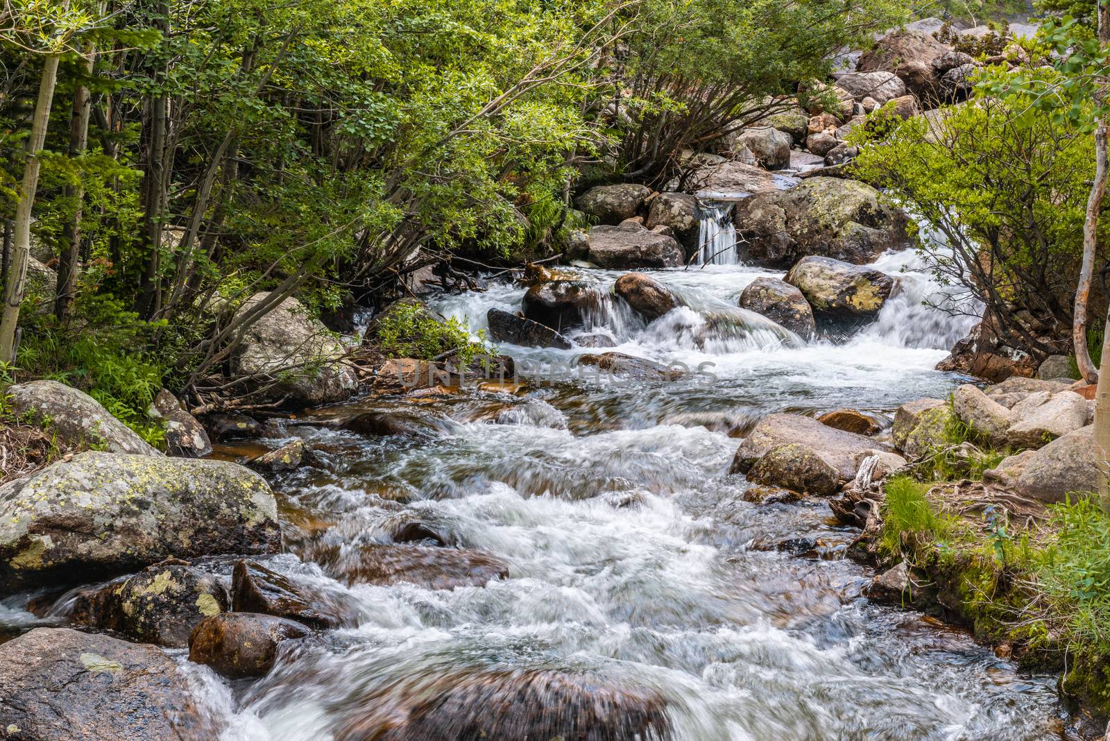 Glacier Creek Trail to Alberta Falls in Rocky Mountain National Park, Colorado by Njean