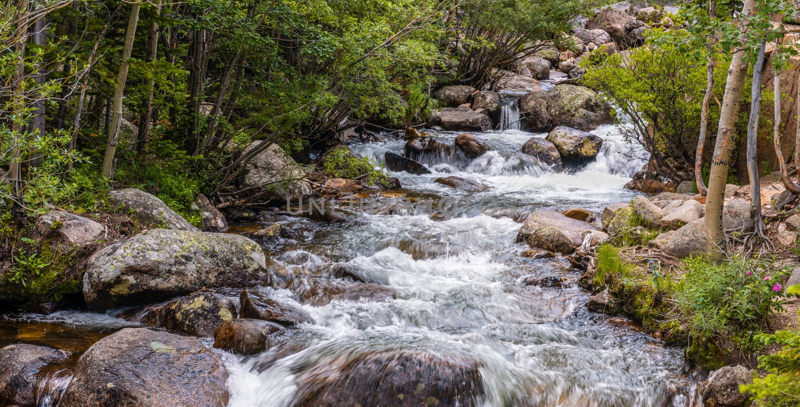 Glacier Creek Trail to Alberta Falls in Rocky Mountain National Park, Colorado by Njean