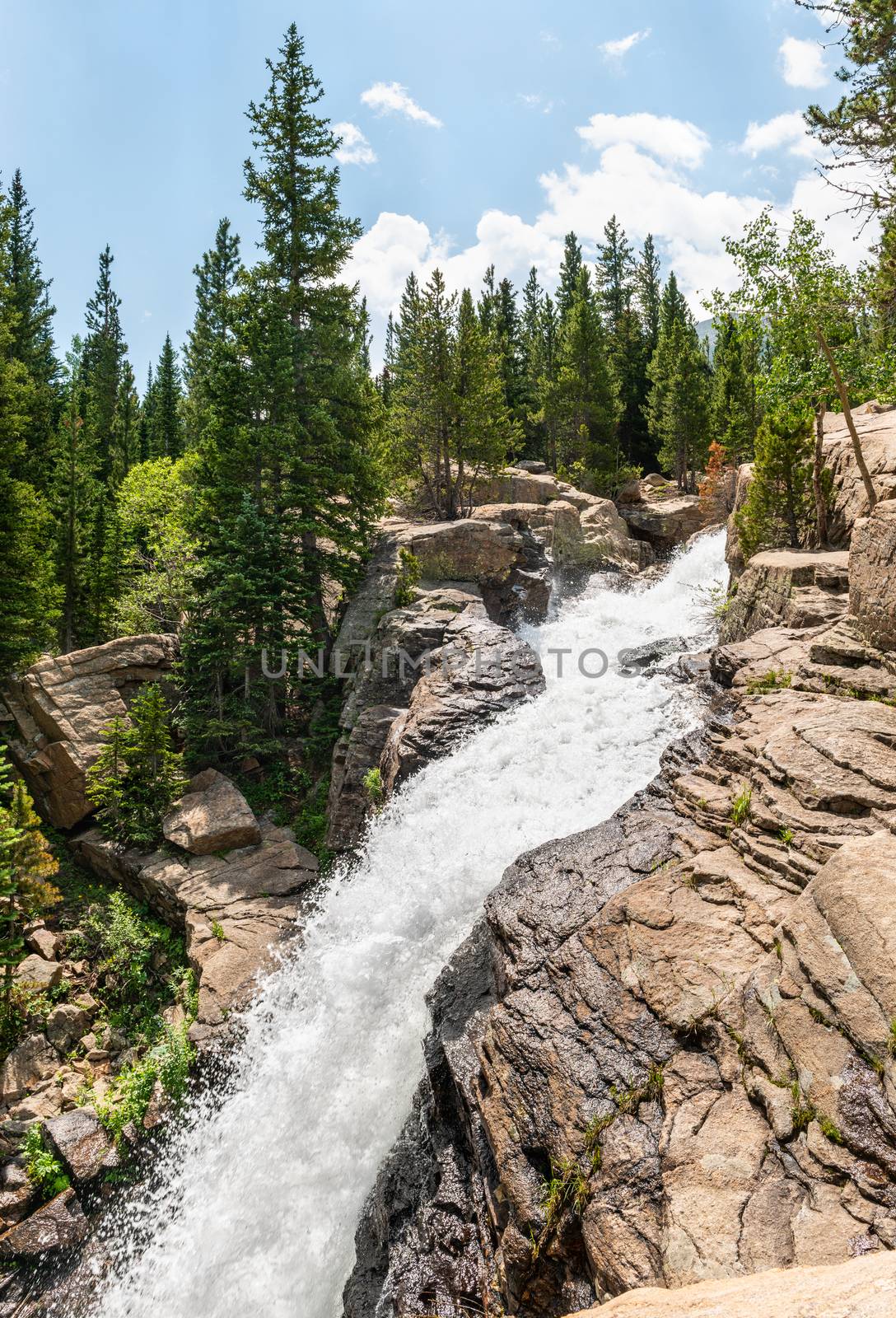 Alberta Falls in Rocky Mountain National Park, Colorado by Njean