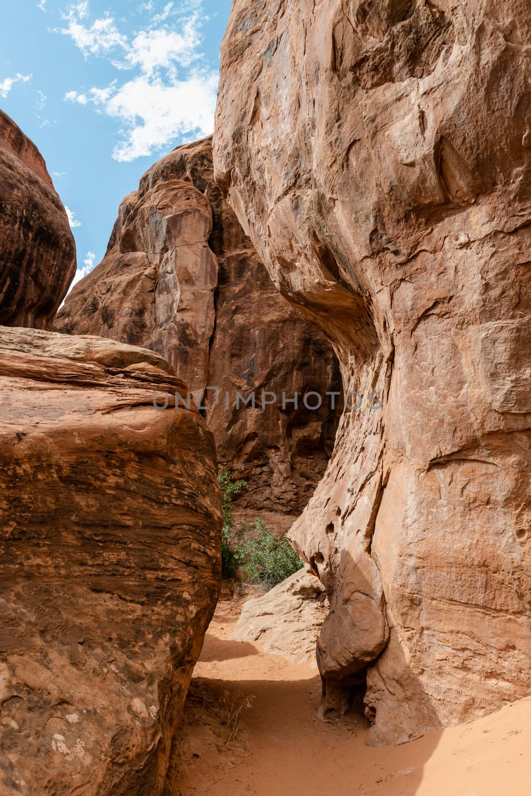 Fiery Furnace in Arches National Park, Utah by Njean