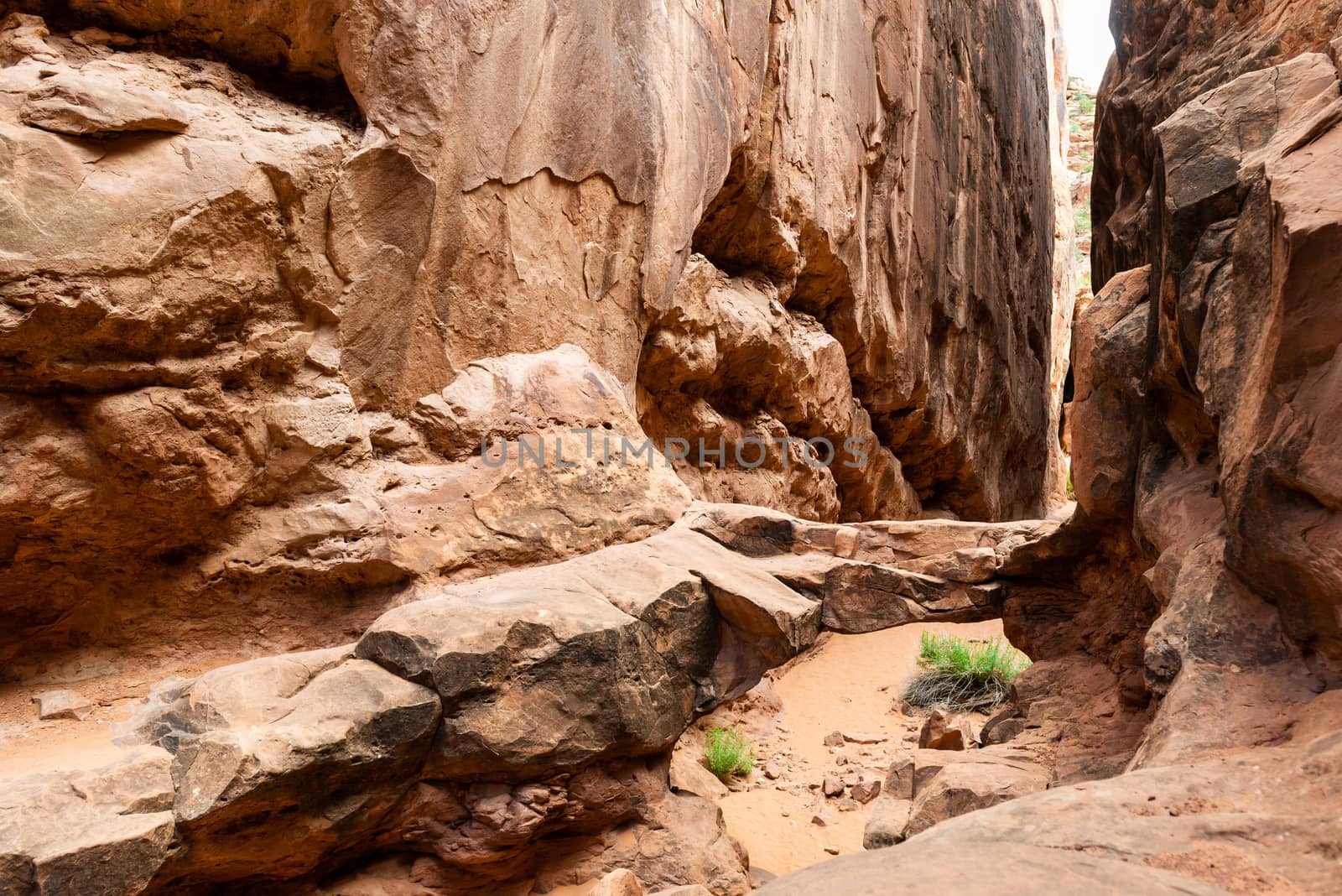 Slot canyon in Fiery Furnace, Arches National Park, Utah