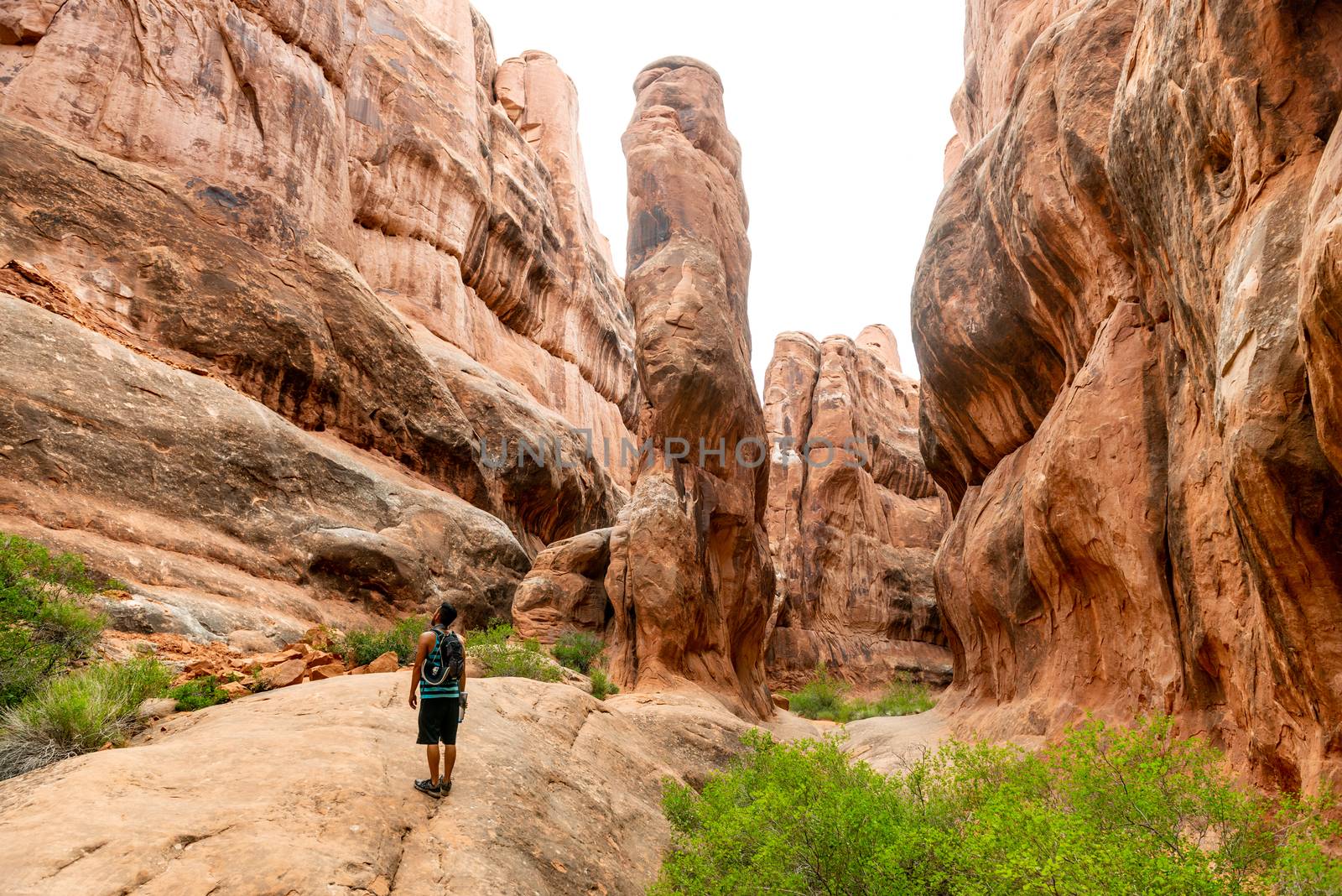 Sandstone formations in Fiery Furnace, Arches National Park, Utah by Njean