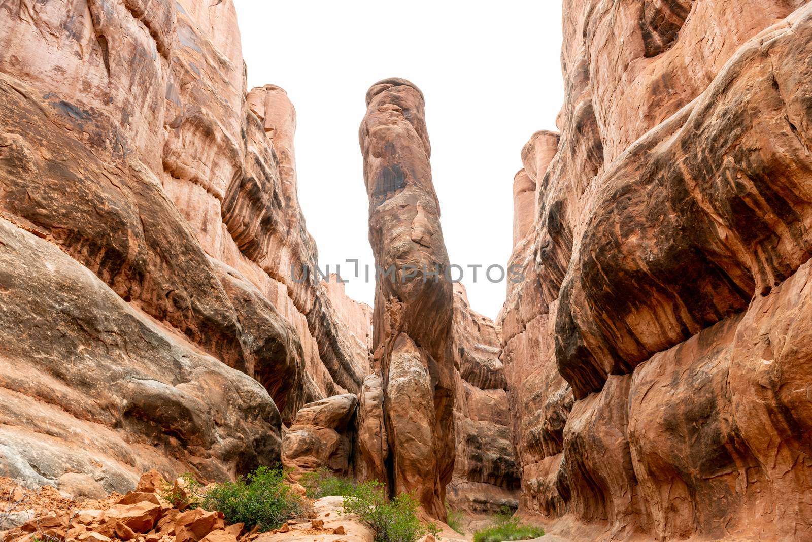Sandstone formations in Fiery Furnace, Arches National Park, Utah by Njean
