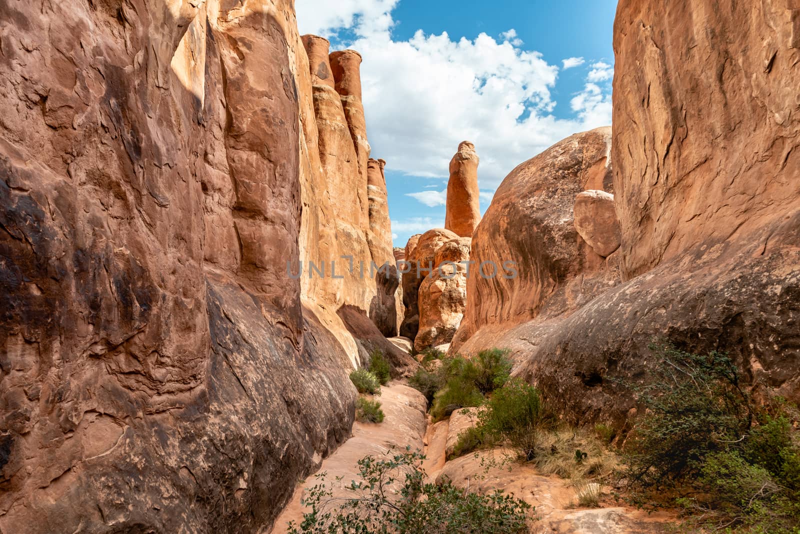 Sandstone formations in Fiery Furnace, Arches National Park, Utah by Njean