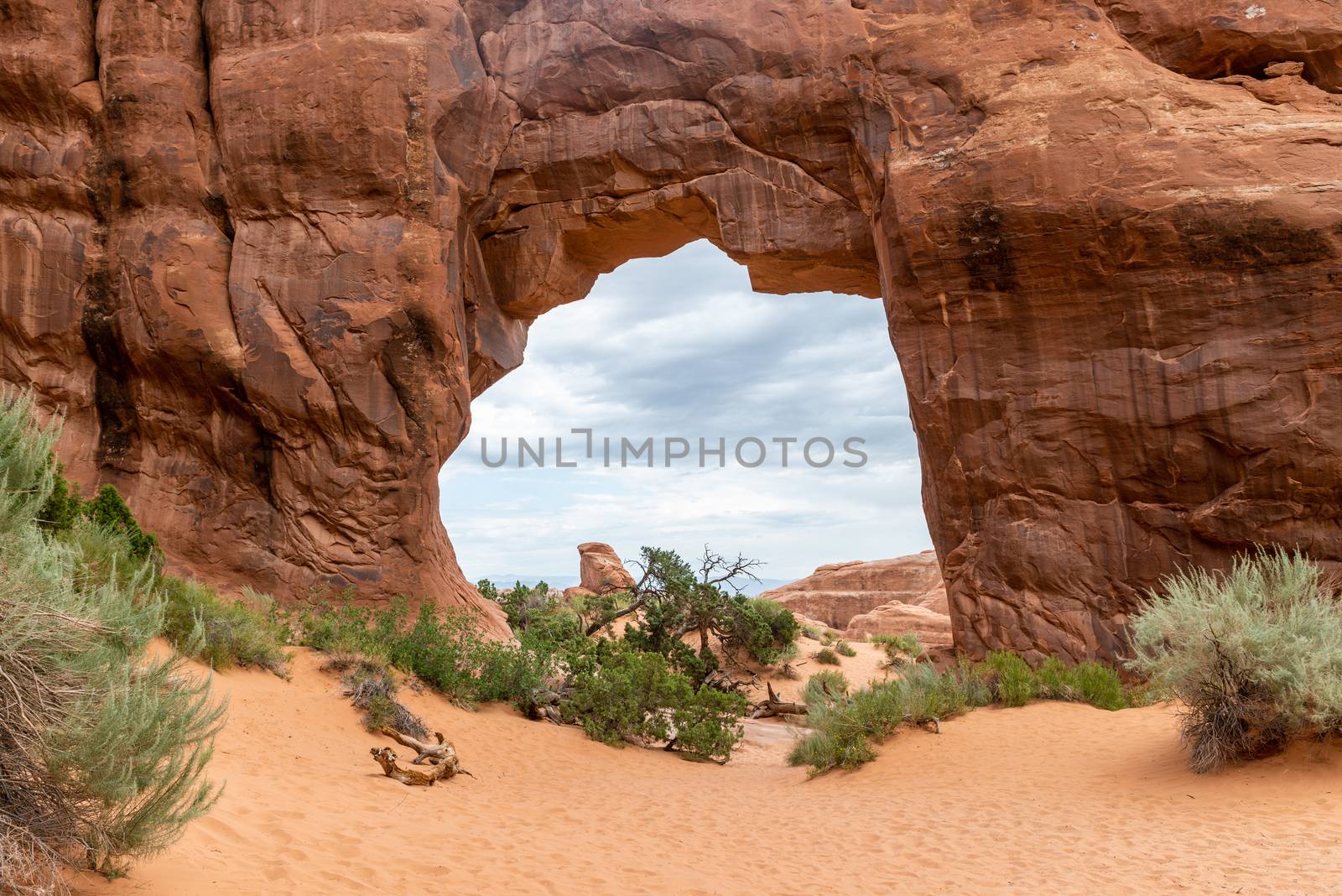 Pine Tree Arch off Devils Garden Trail in Arches National Park, Utah by Njean