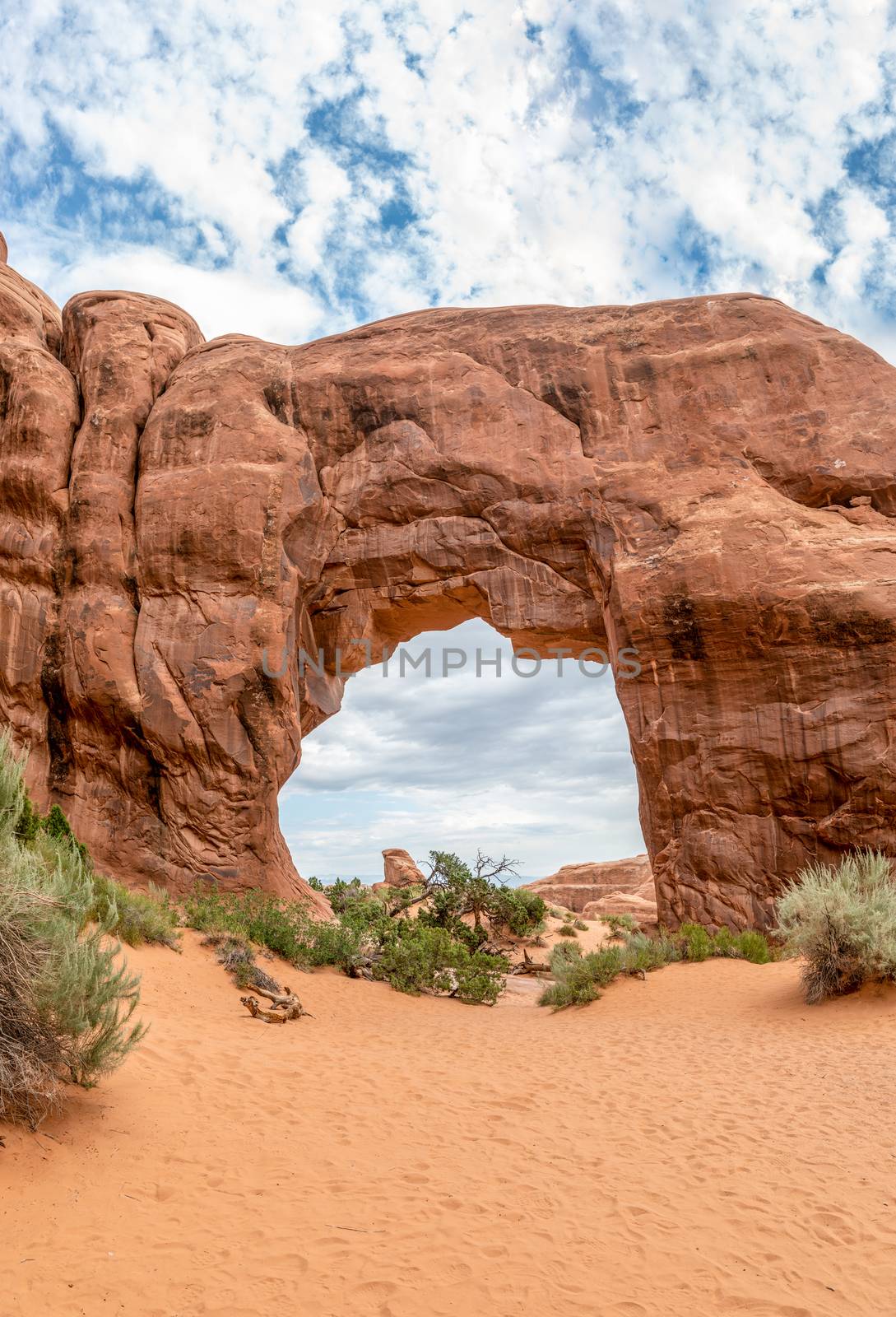 Pine Tree Arch off Devils Garden Trail in Arches National Park, Utah