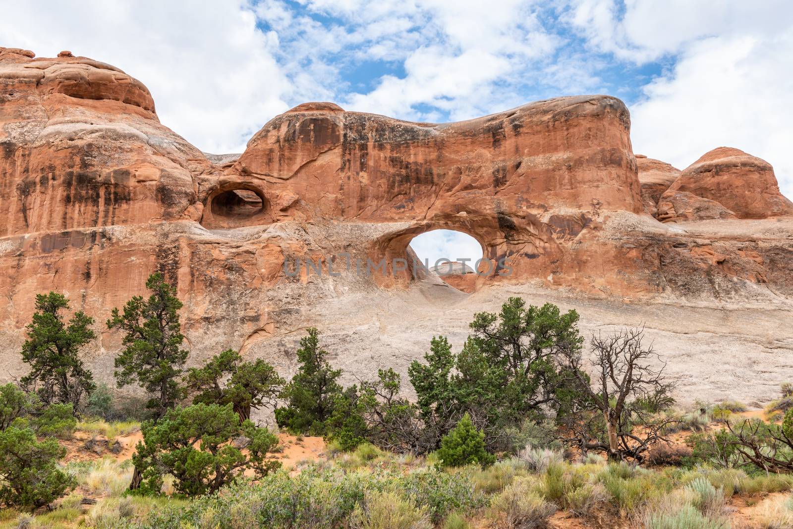 Tunnel Arch in Devils Garden Trail in Arches National Park, Utah by Njean