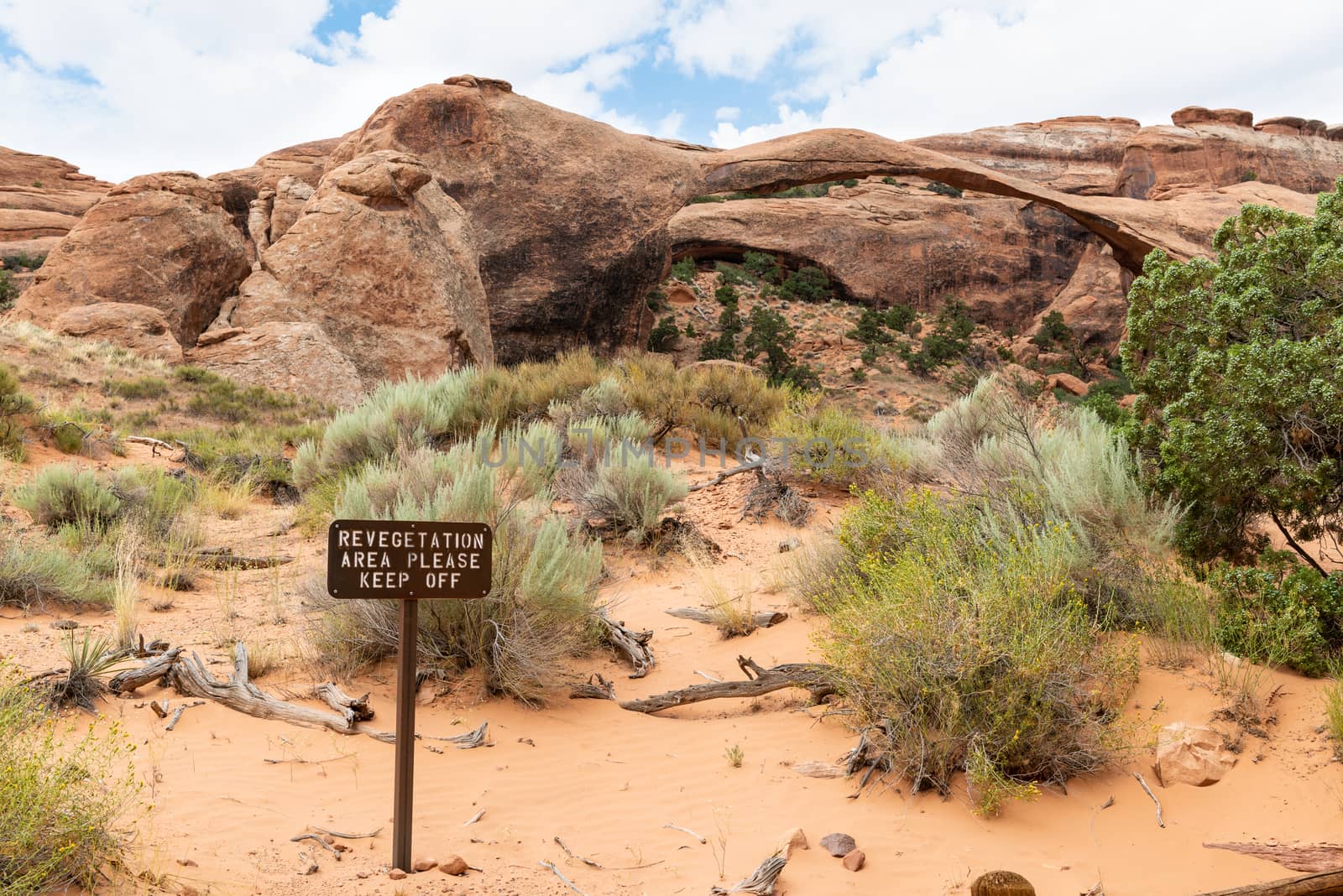 Revegetation sign with Landscape Arch in the background off Devils Garden Trail in Arches National Park, Utah