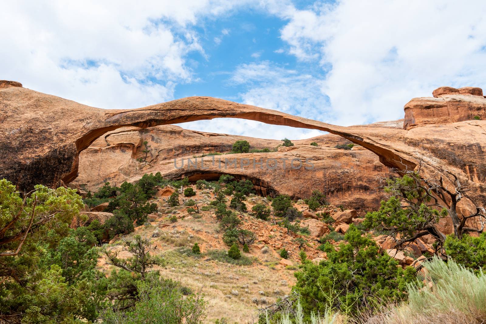 Landscape Arch in Devils Garden Trail in Arches National Park, Utah by Njean