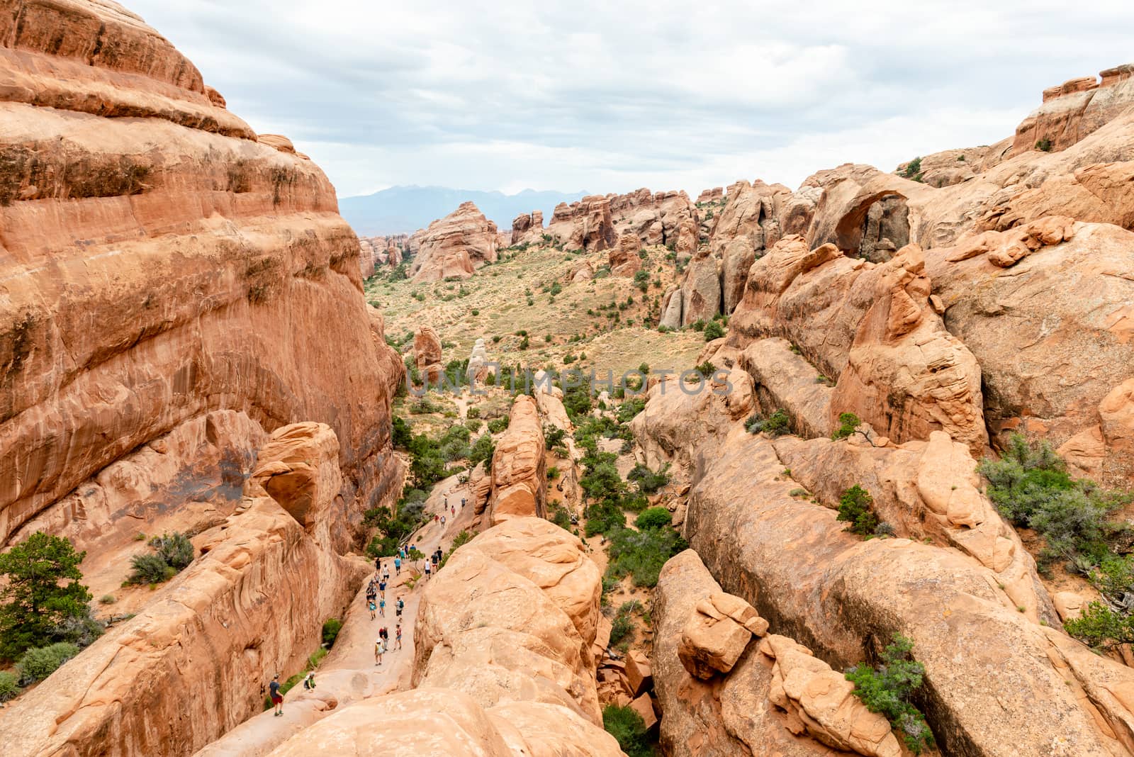 Devils Garden Trail in Arches National Park, Utah by Njean