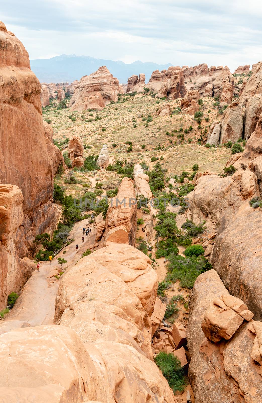 Devils Garden Trail in Arches National Park, Utah by Njean