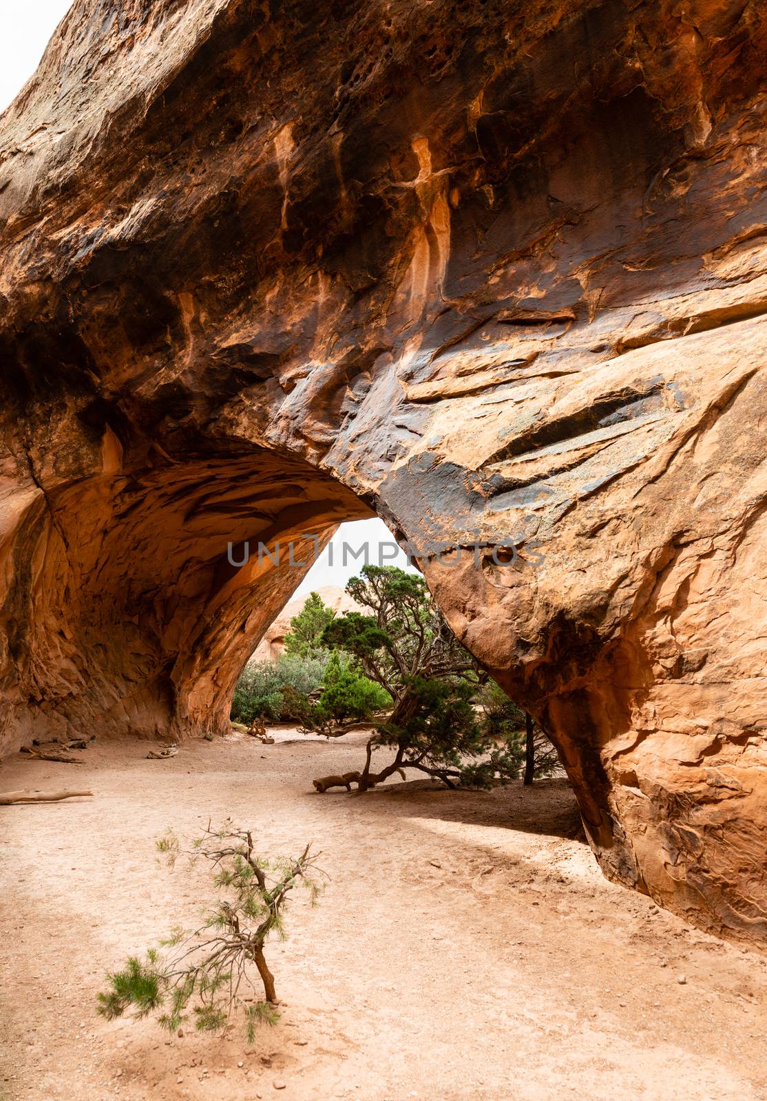 Navajo Arch in Devils Garden Trail in Arches National Park, Utah
