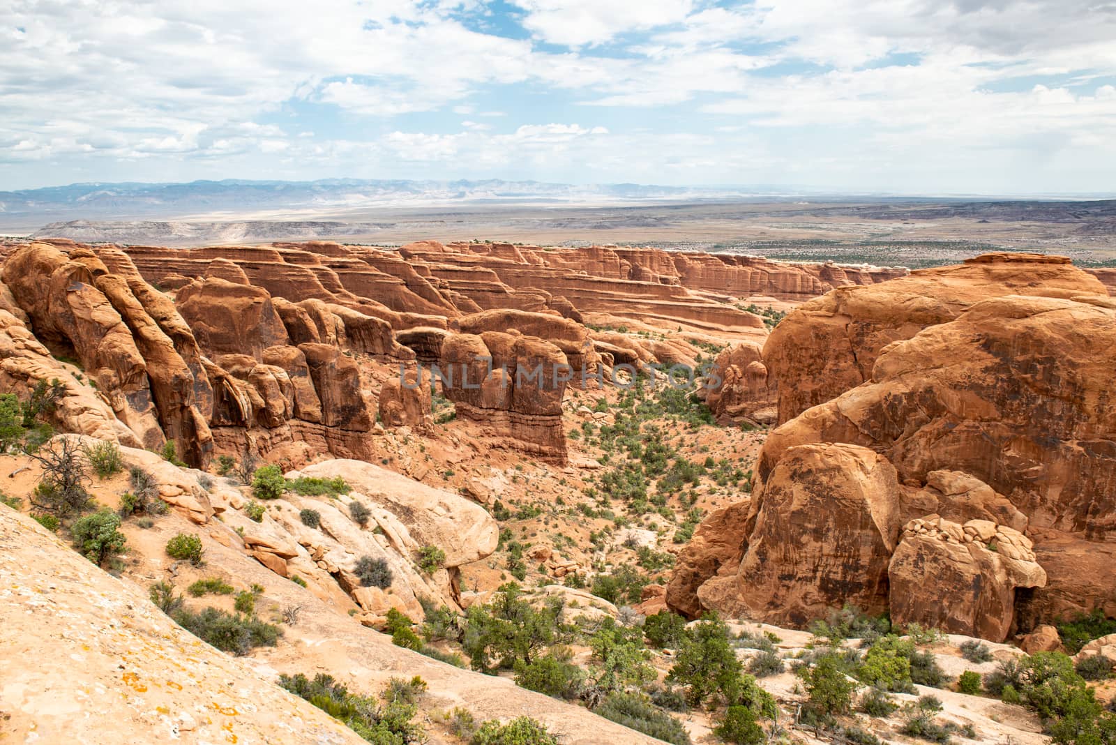 Fin Canyon seen from Devils Garden Trail in Arches National Park, Utah by Njean