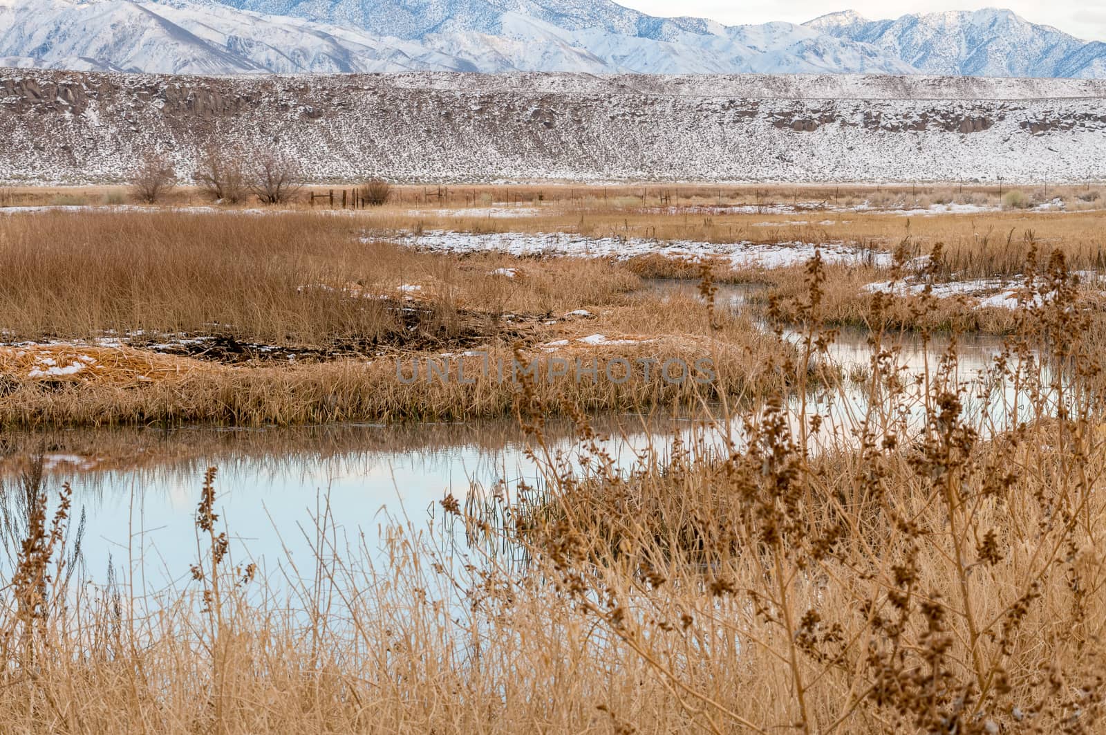 River in winter off Fish Slough Road in Bishop, California by Njean