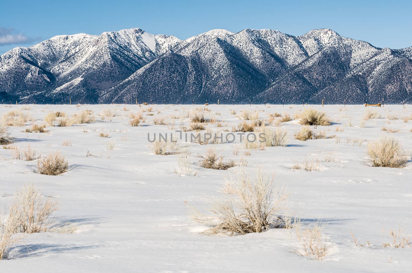 Snow covered ground with snow-capped mountains in background, Ca by Njean