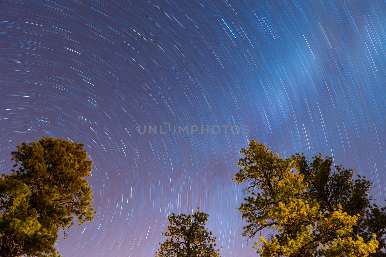 Startrails in night sky, Bryce Canyon National Park, Utah by Njean