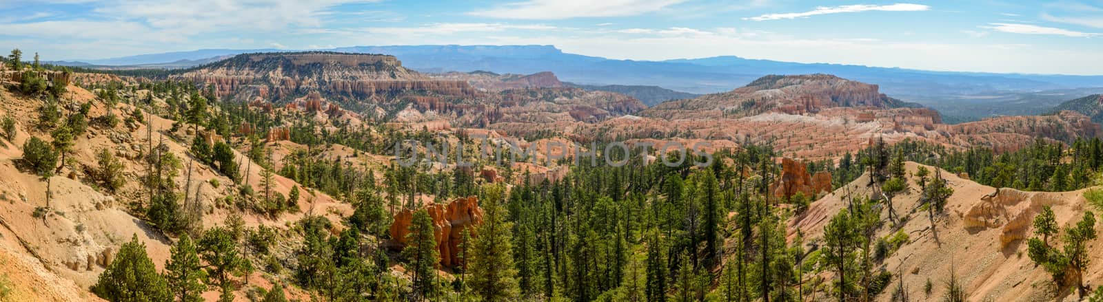 Panorama from Sunrise Point of Bryce Canyon National Park, Utah by Njean