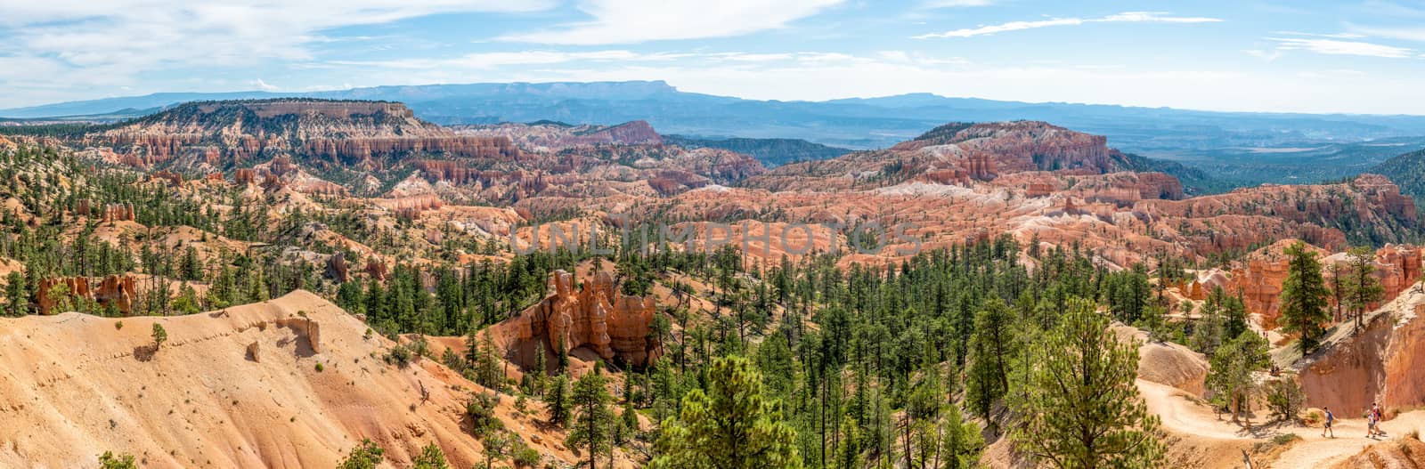 Panorama from Sunrise Point of Bryce Canyon National Park, Utah by Njean