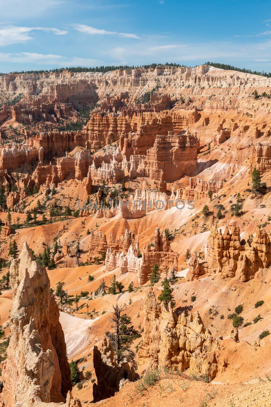 View of Bryce Amphitheater from Sunrise Point of Bryce Canyon National Park, Utah by Njean