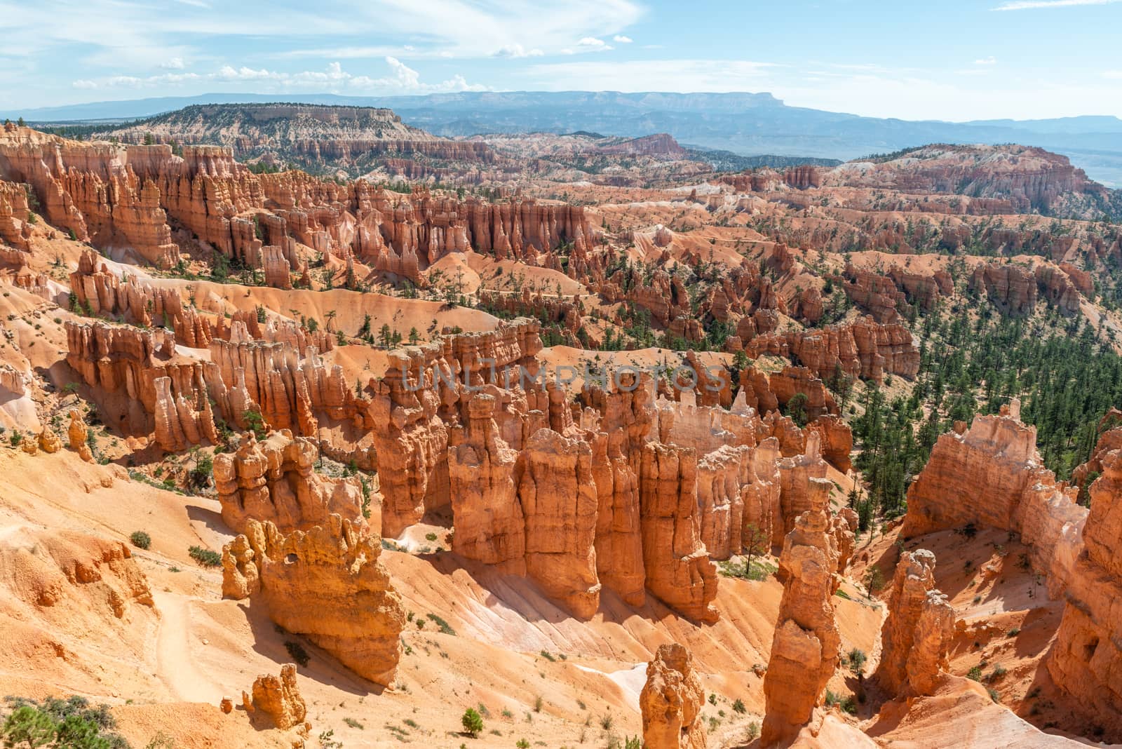 View of Bryce Amphitheater from Sunrise Point of Bryce Canyon National Park, Utah by Njean