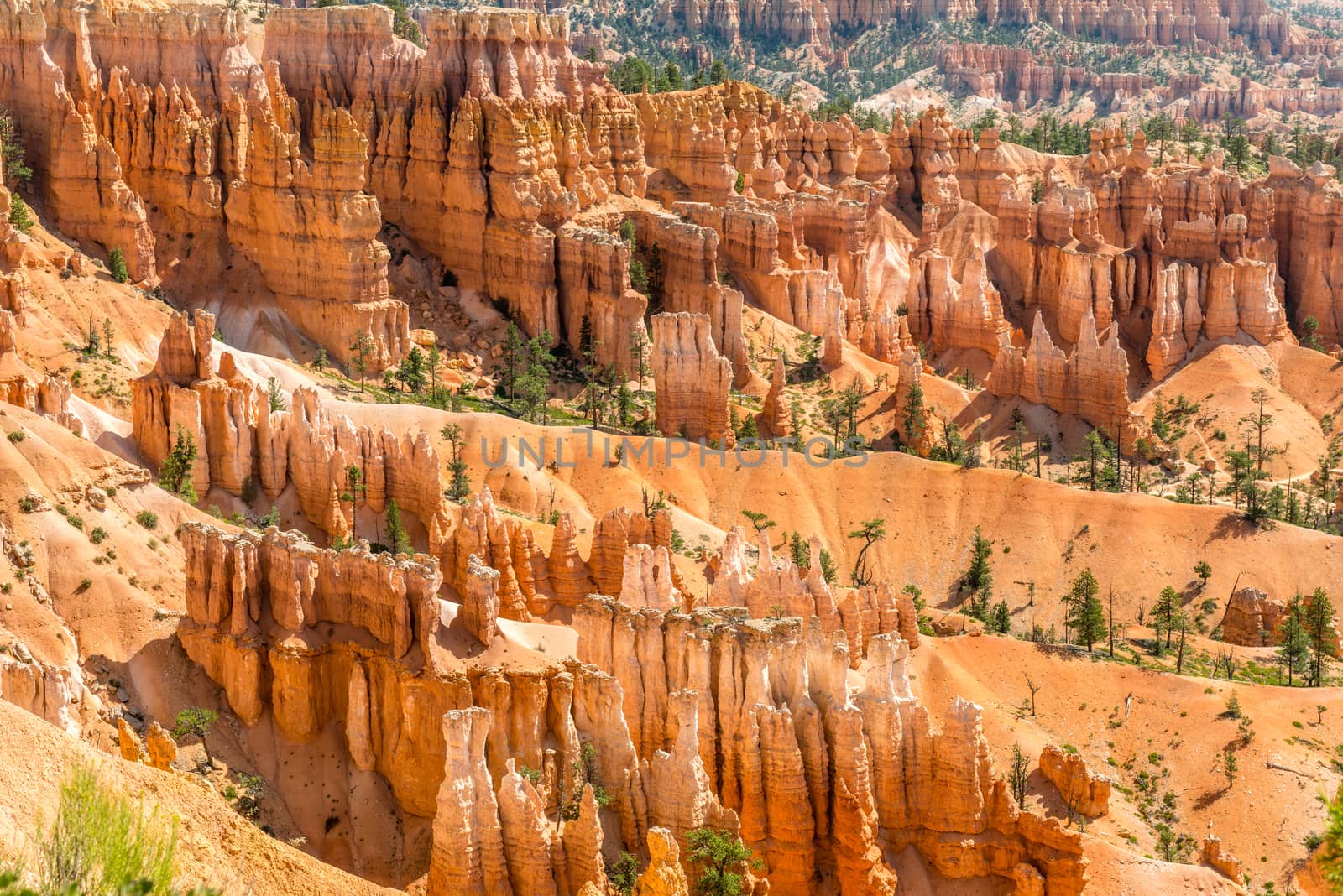 View of Bryce Amphitheater from Sunrise Point of Bryce Canyon National Park, Utah