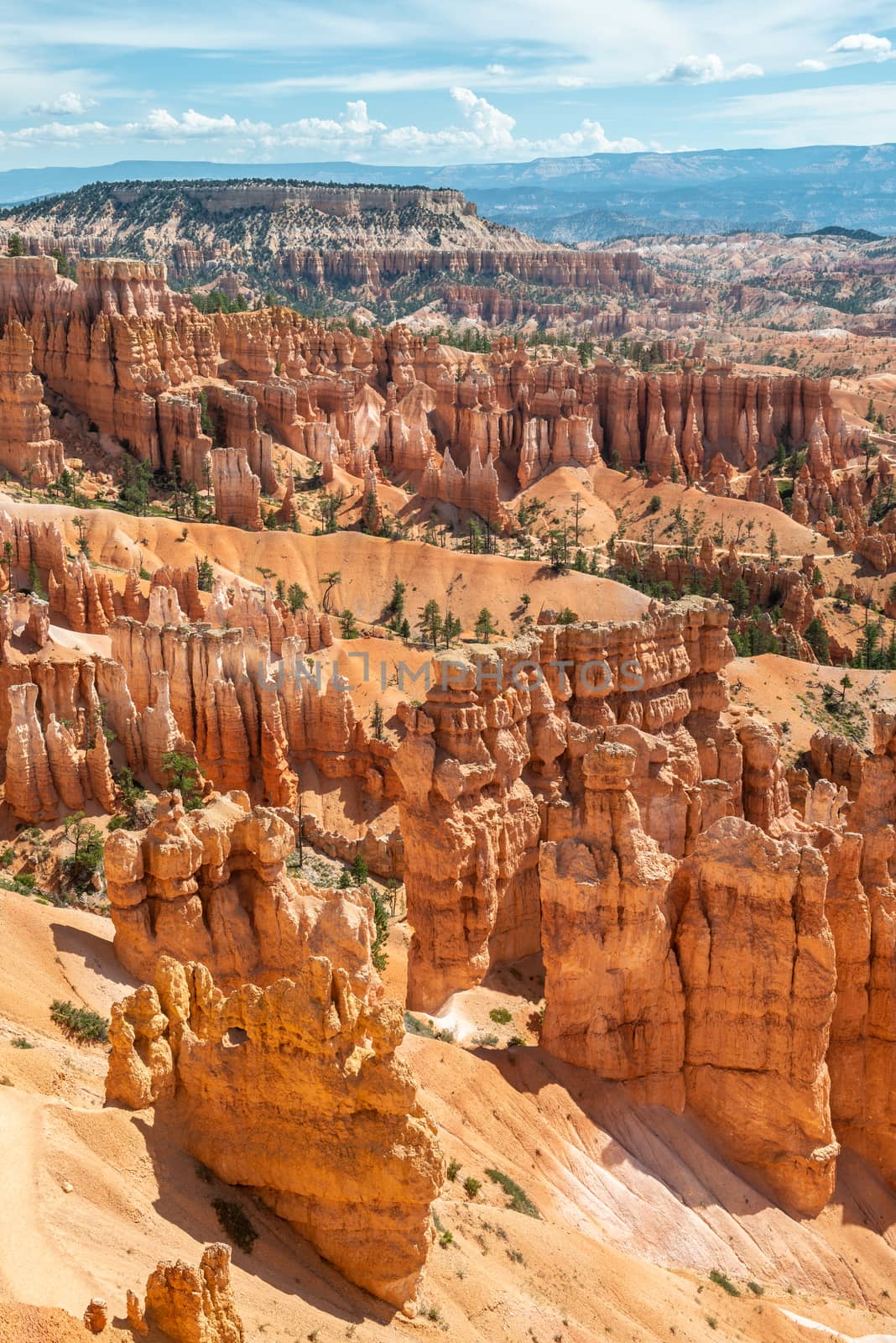 View of Bryce Amphitheater from Sunrise Point of Bryce Canyon National Park, Utah by Njean