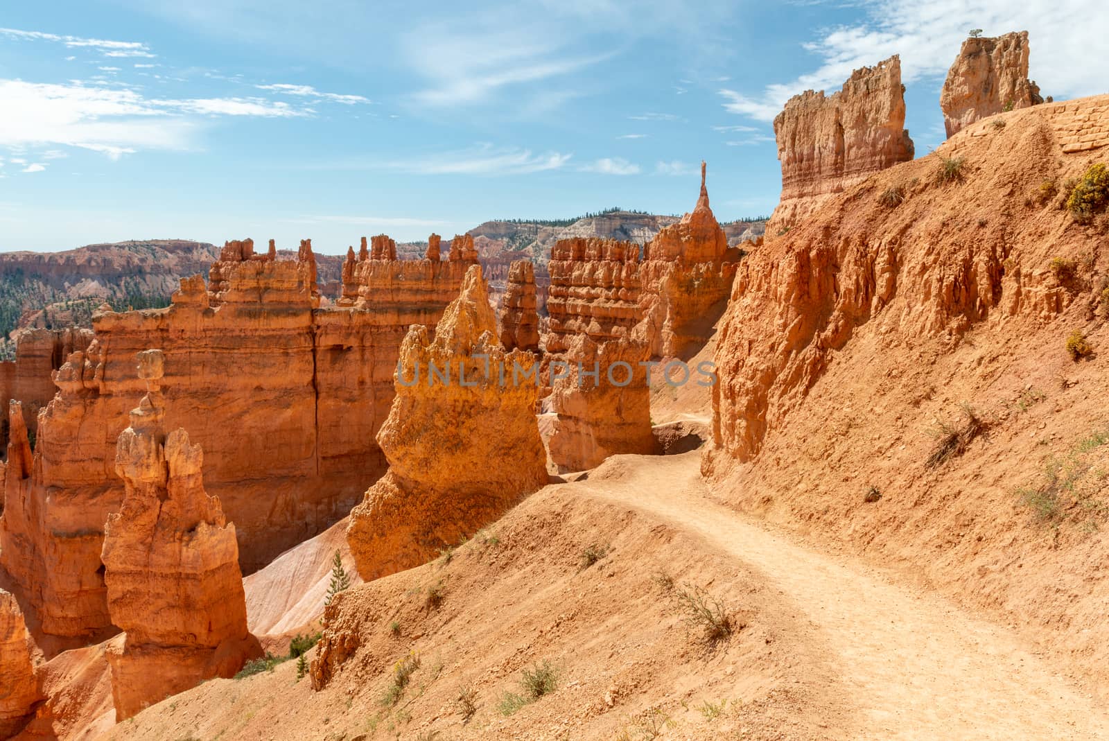 View of hoodoos from Navajo Loop in Bryce Canyon National Park, Utah