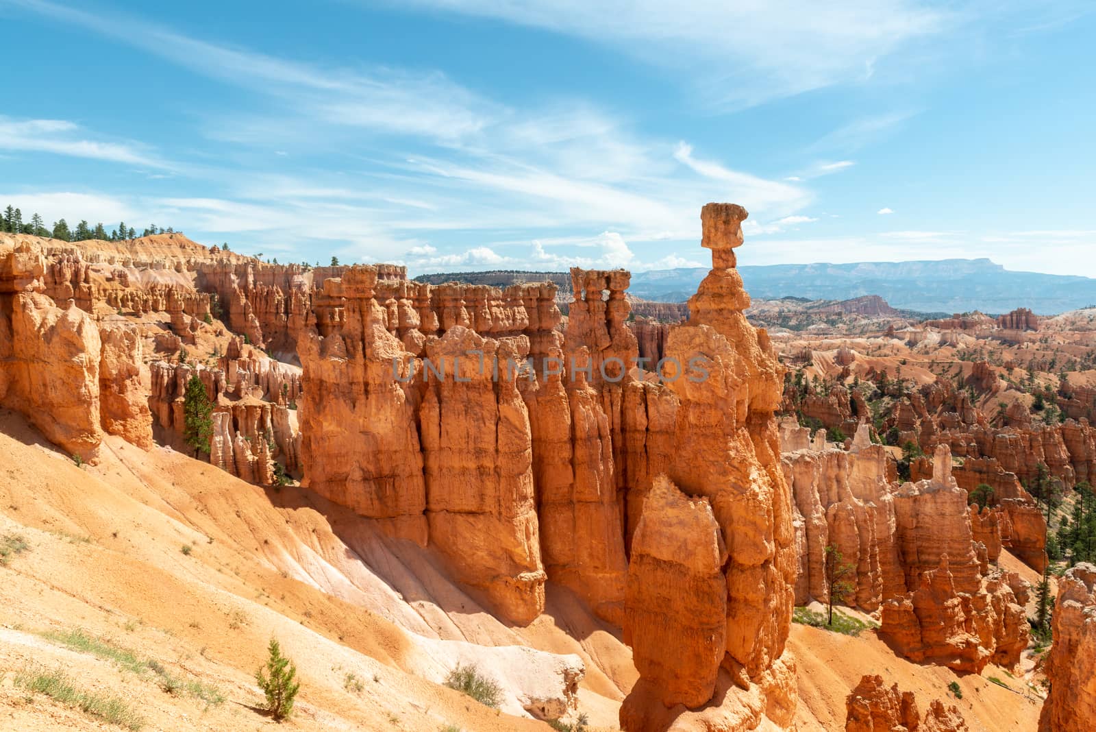 View of hoodoos including Thor's Hammer from Navajo Loop in Bryce Canyon National Park, Utah by Njean