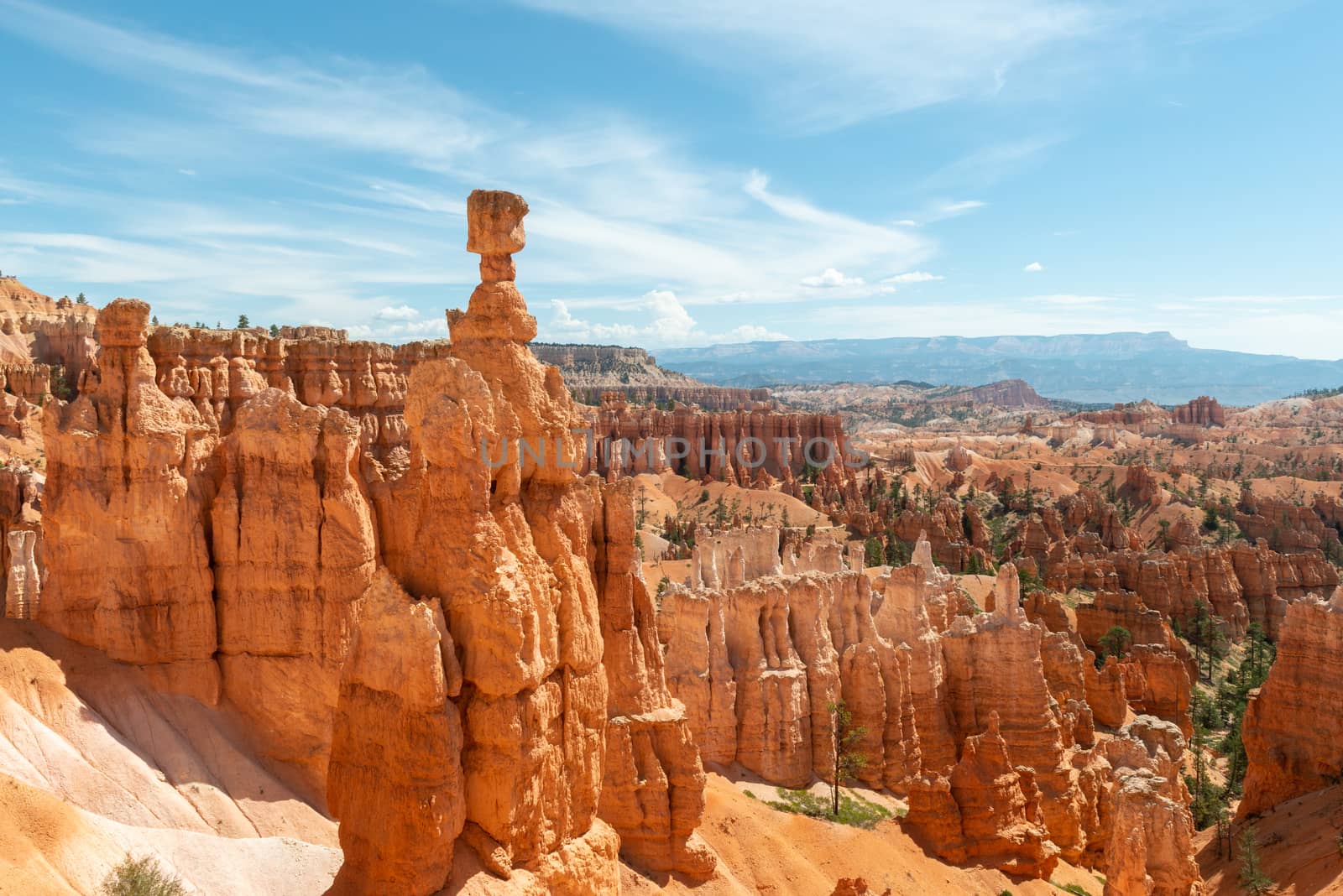 View of hoodoos including Thor's Hammer from Navajo Loop in Bryce Canyon National Park, Utah by Njean