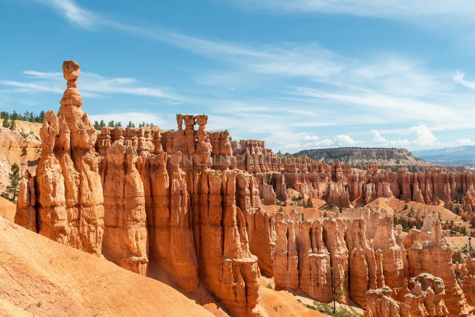 View of hoodoos including Thor's Hammer from Navajo Loop in Bryce Canyon National Park, Utah