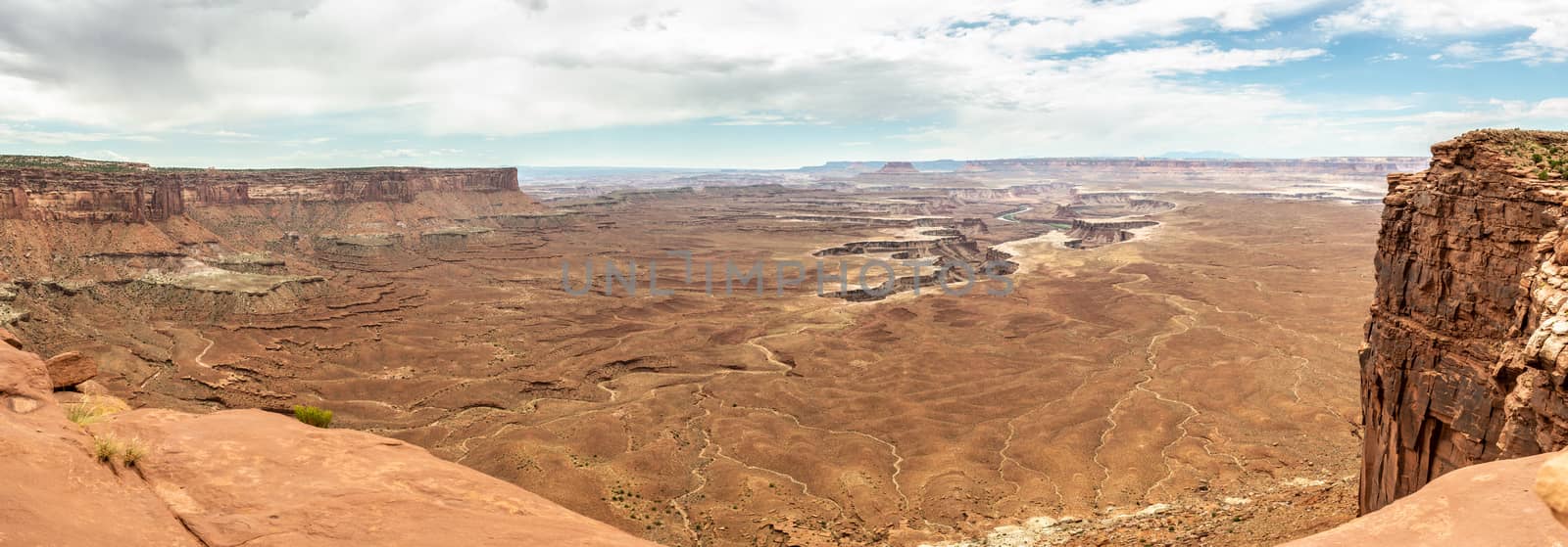 Panorama from Green River Overlook in Canyonlands National Park, Utah by Njean