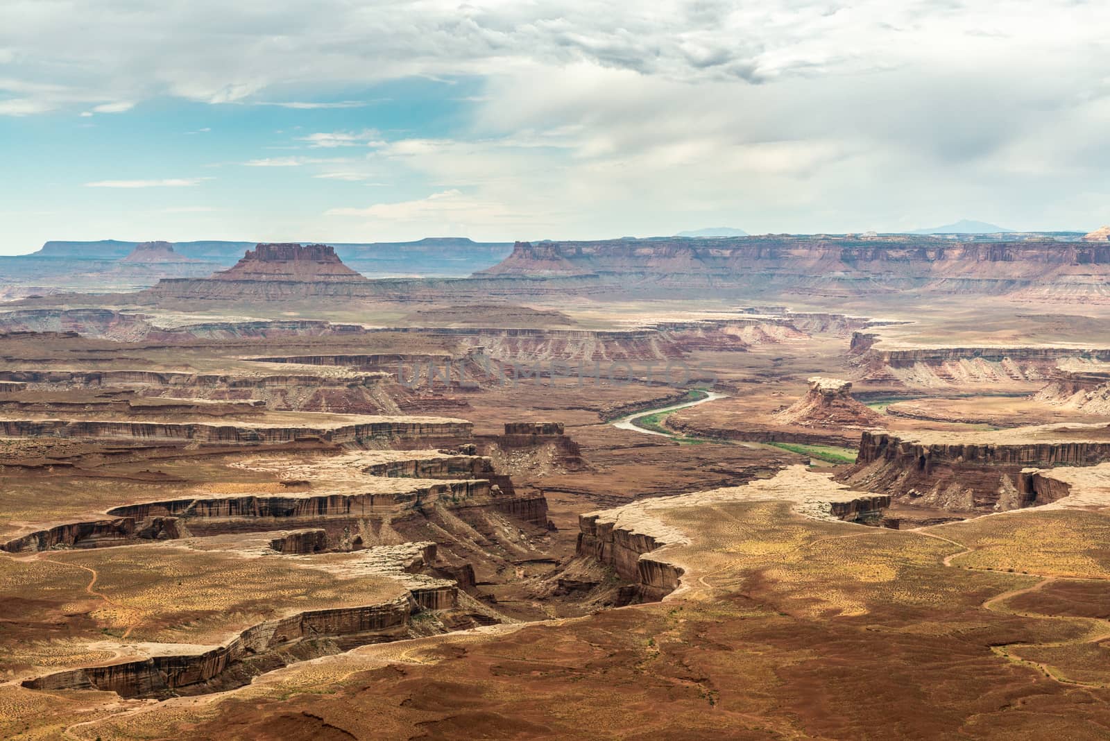 Green River Overlook in Canyonlands National Park, Utah by Njean
