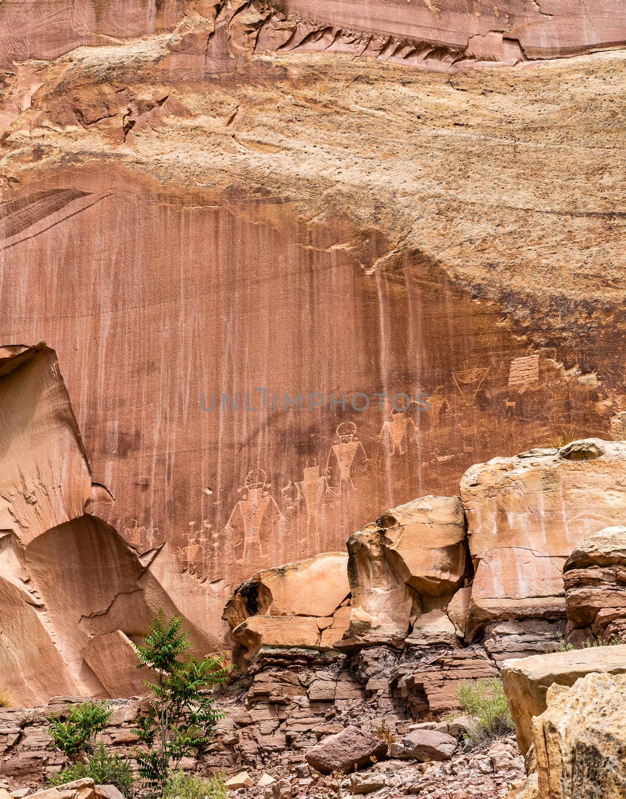 Petroglyphs in Capital Reef National Park, Utah