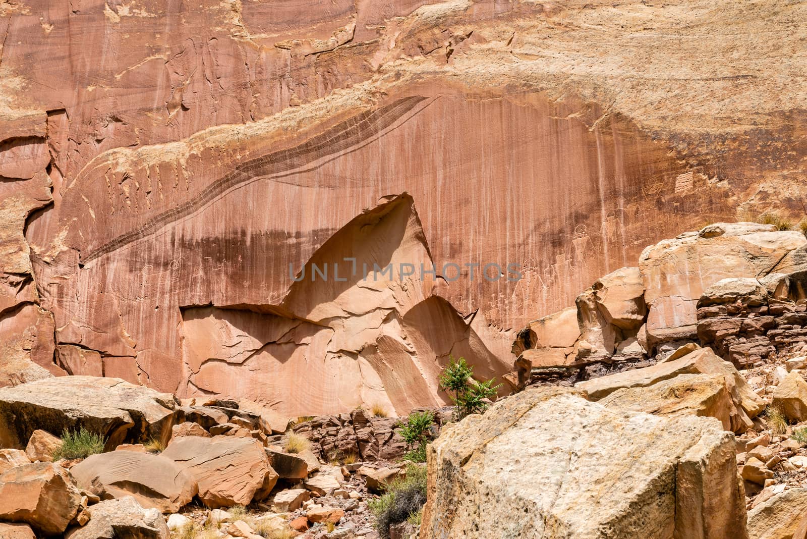 Petroglyphs in Capital Reef National Park, Utah by Njean