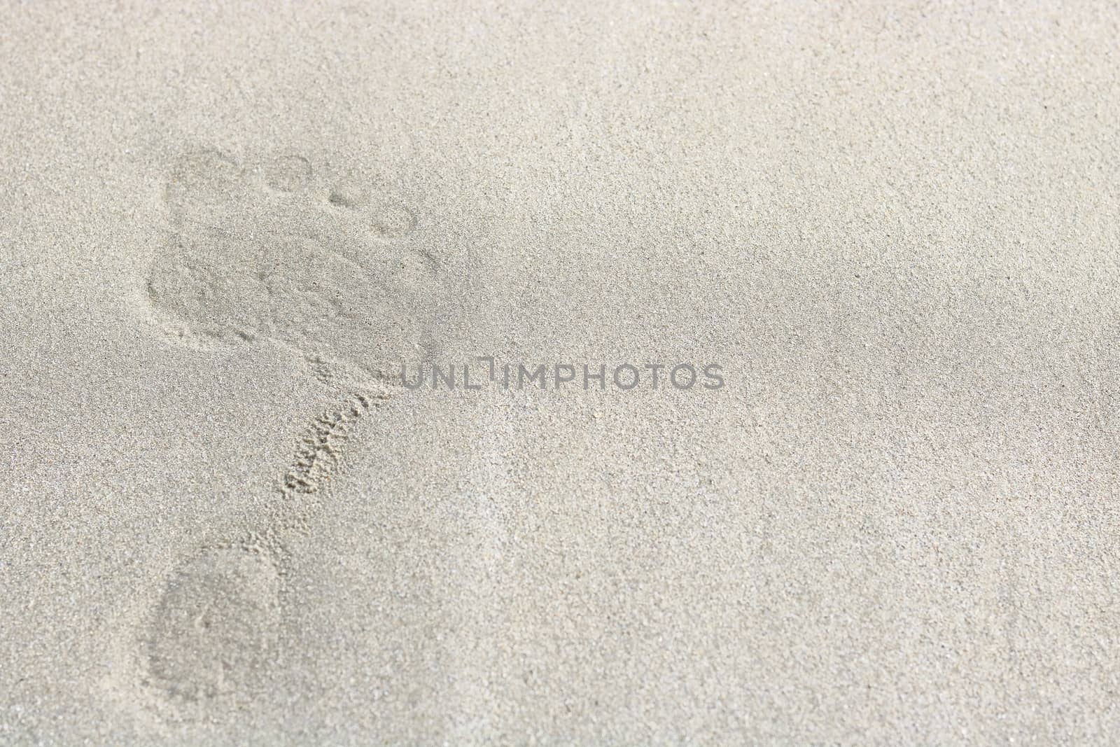 Top view of footprints on sand background, selective focus