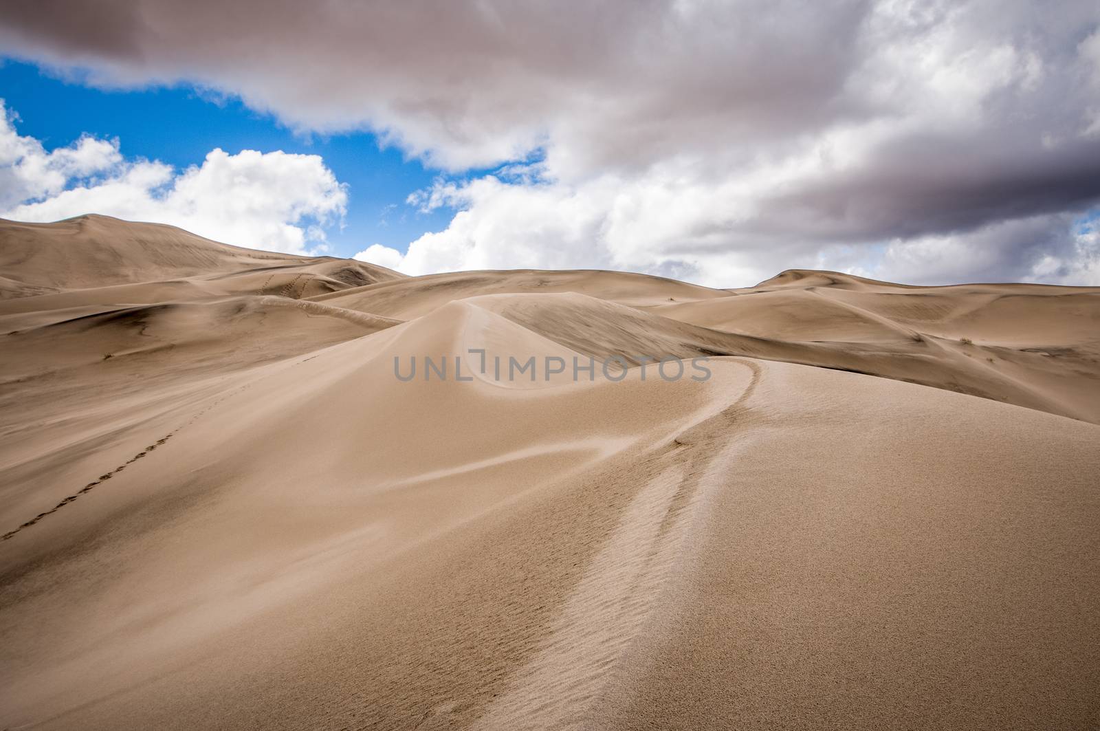 Eureka Valley Sand Dunes in Death Valley National Park, California by Njean