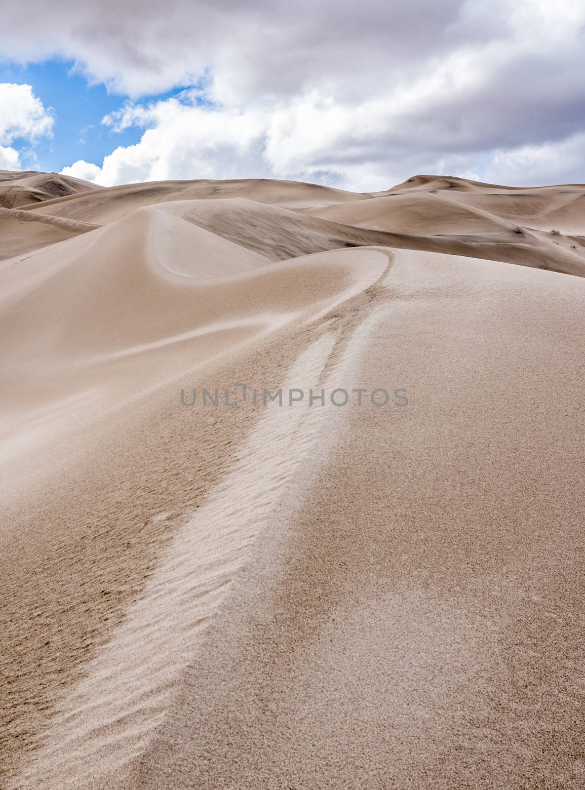 Eureka Valley Sand Dunes in Death Valley National Park, California by Njean