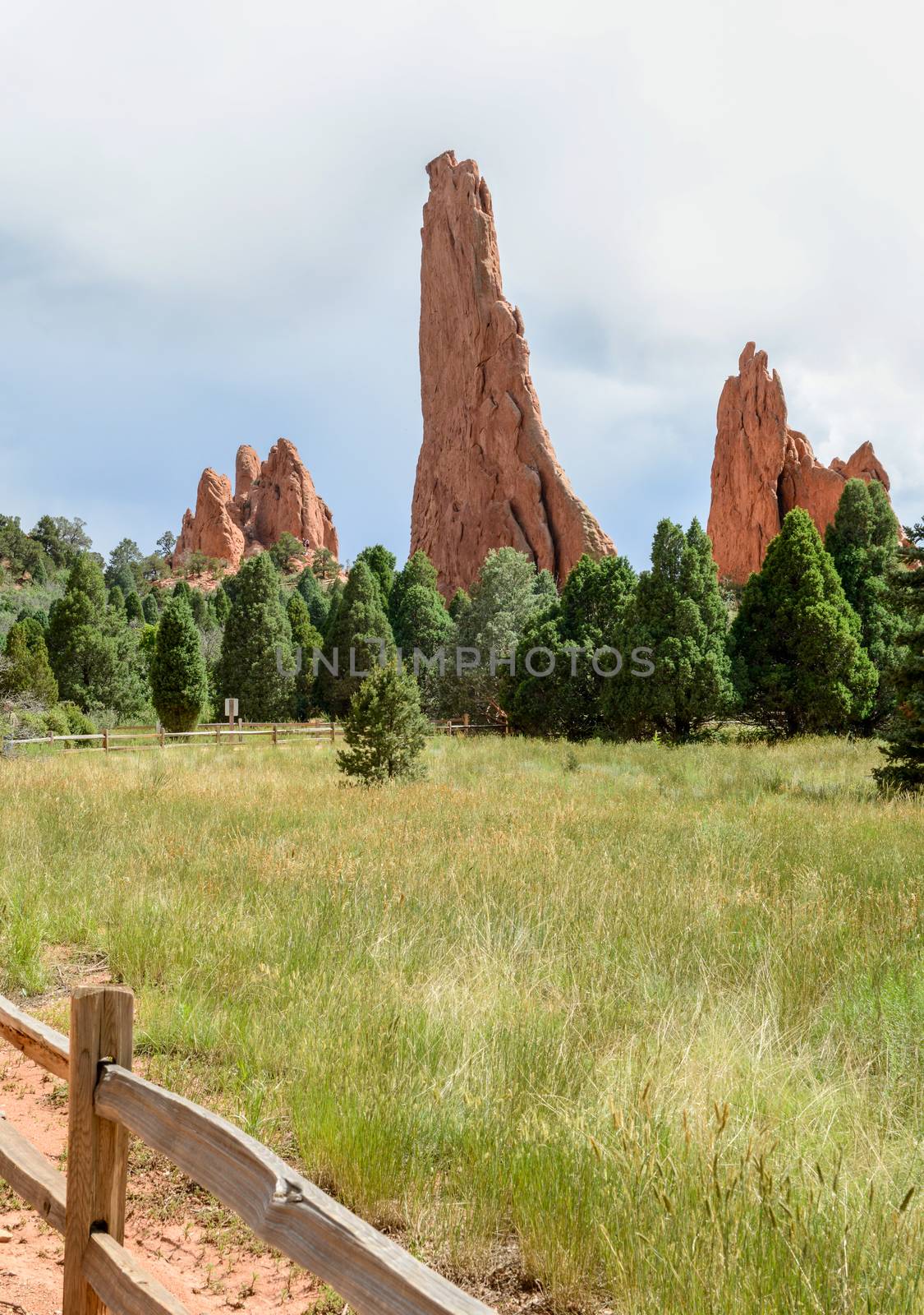 View along Central Garden Trail in Garden of the Gods, Colorado by Njean