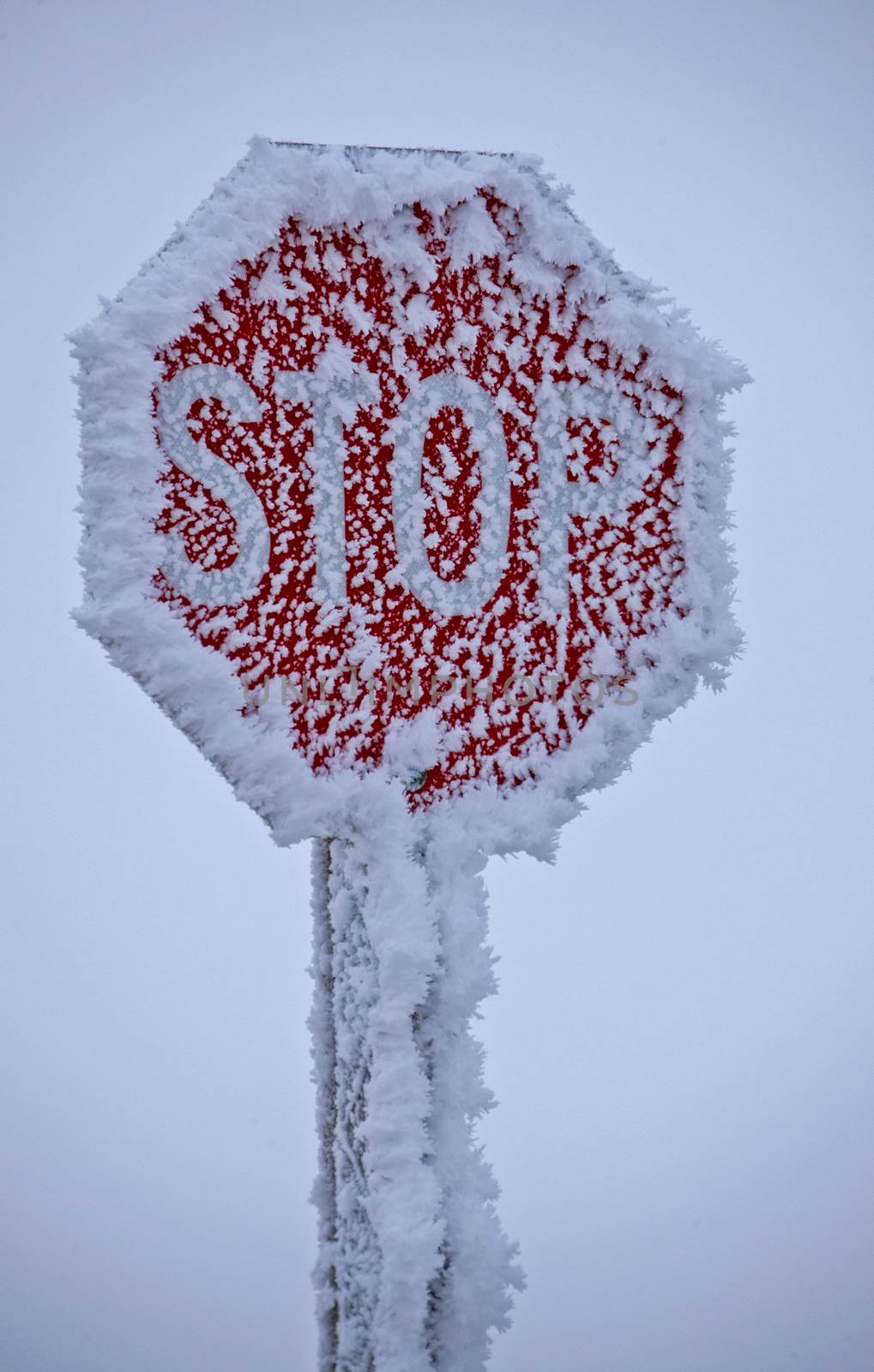 Winter Frost Saskatchewan Canada ice storm stop sign