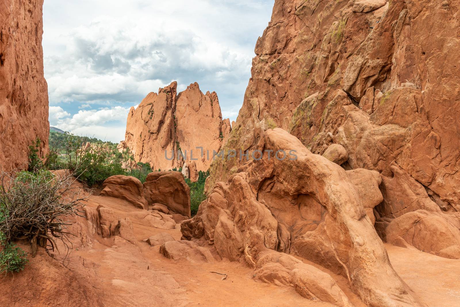 Sandstone formations along Central Garden Trail in Garden of the Gods, Colorado by Njean